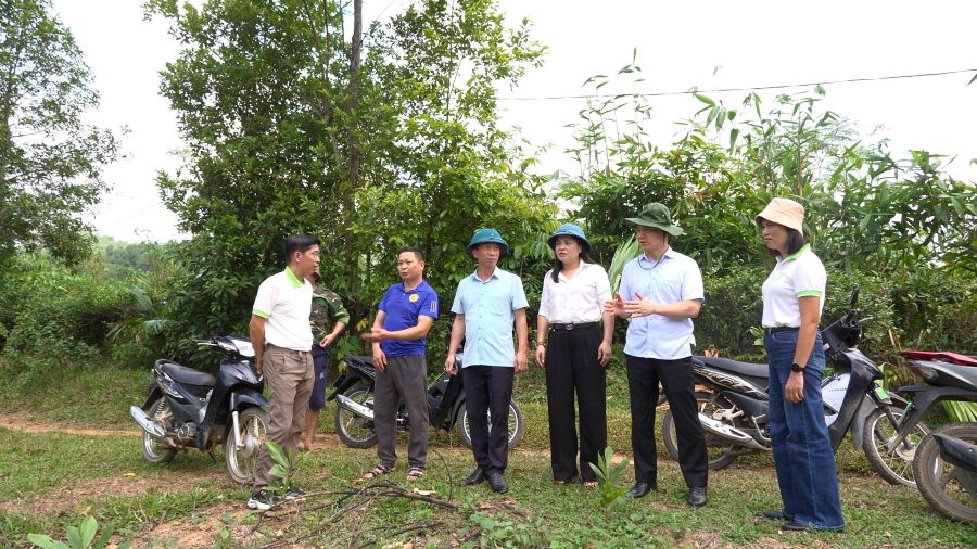Bí thư Đảng ủy, Chủ tịch HĐND xã Phan Ngọc Hiệp khảo sát thực tế tại thôn Quang Minh