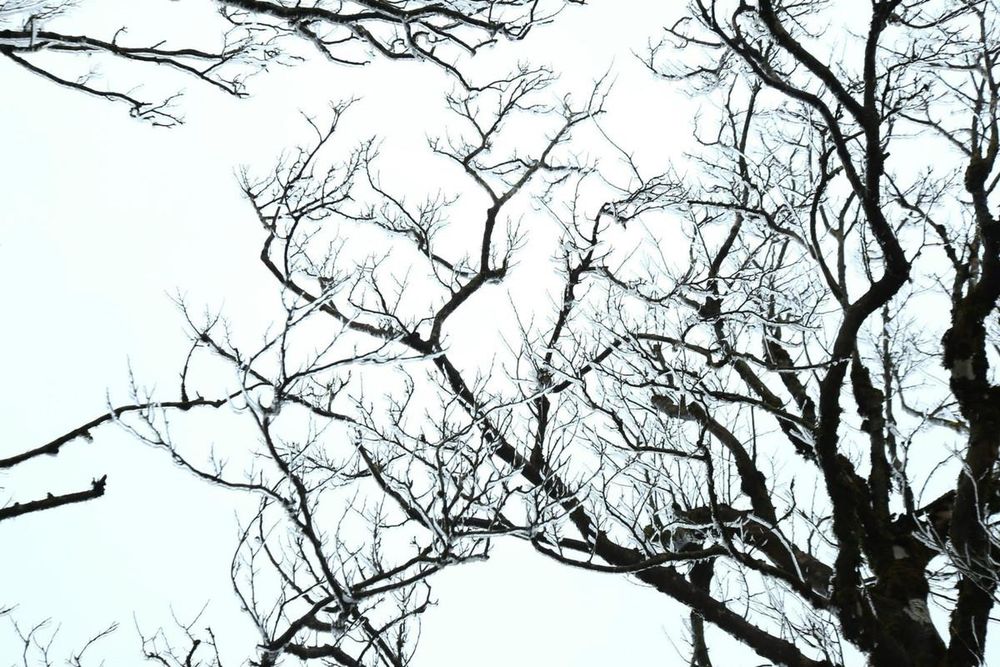 Lên Phia Oắc săn băng giá, trải nghiệm mùa đông đặc biệt của Cao Bằng