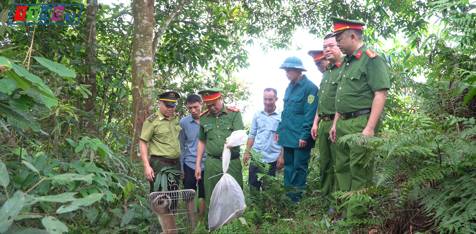 CÔNG AN PHƯỜNG HÀ GIANG 1 PHỐI HỢP THẢ ĐỘNG VẬT HOANG DÃ VỀ MÔI TRƯỜNG TỰ NHIÊN