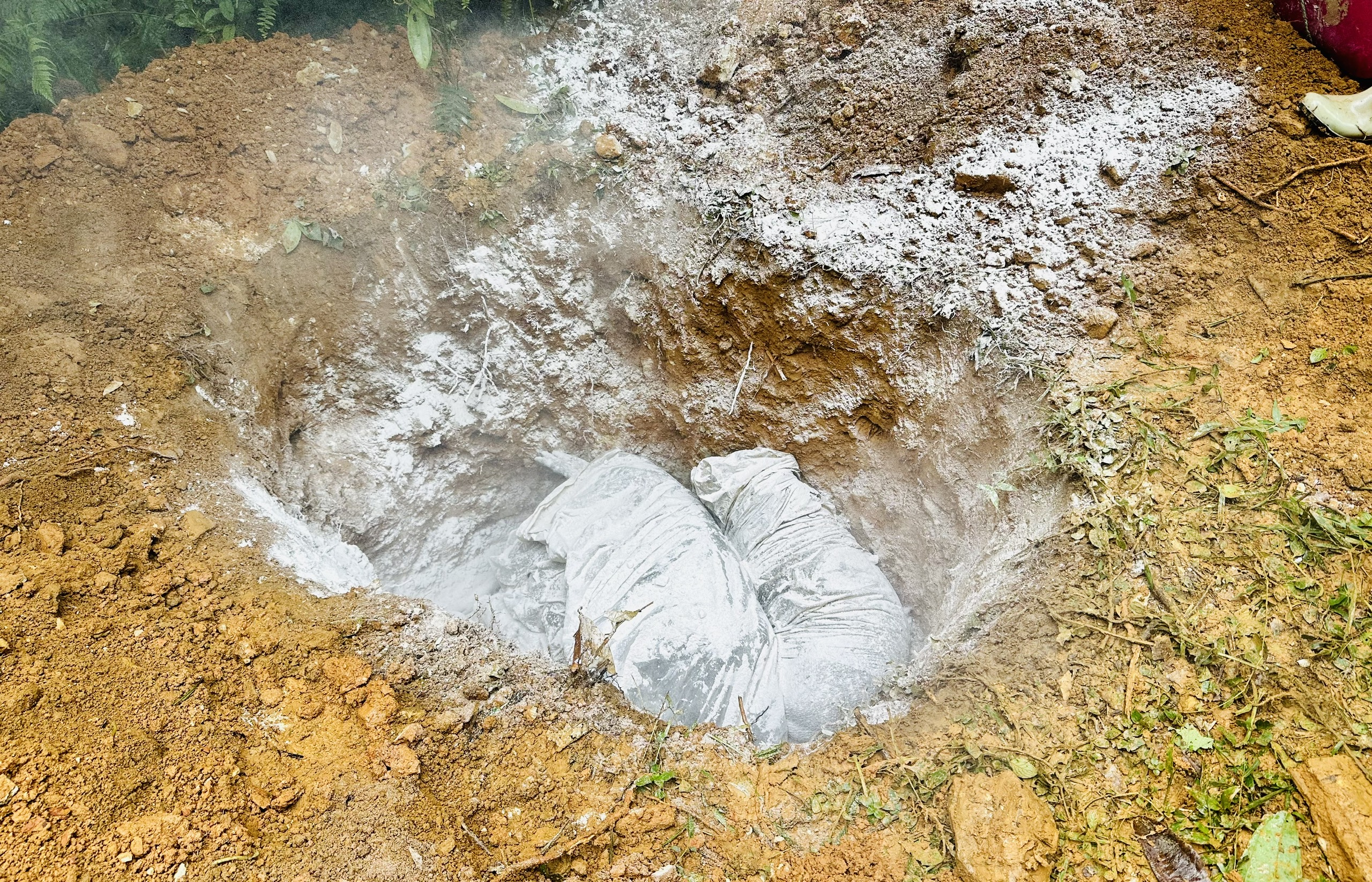 Xã Bạch Ngọc khẩn trương triển khai các biện pháp phòng, chống Dịch tả lợn châu Phi