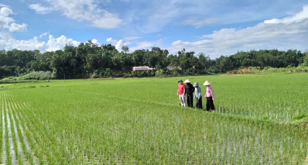 Người giữ niềm tin ở Hoàng Văn Thụ