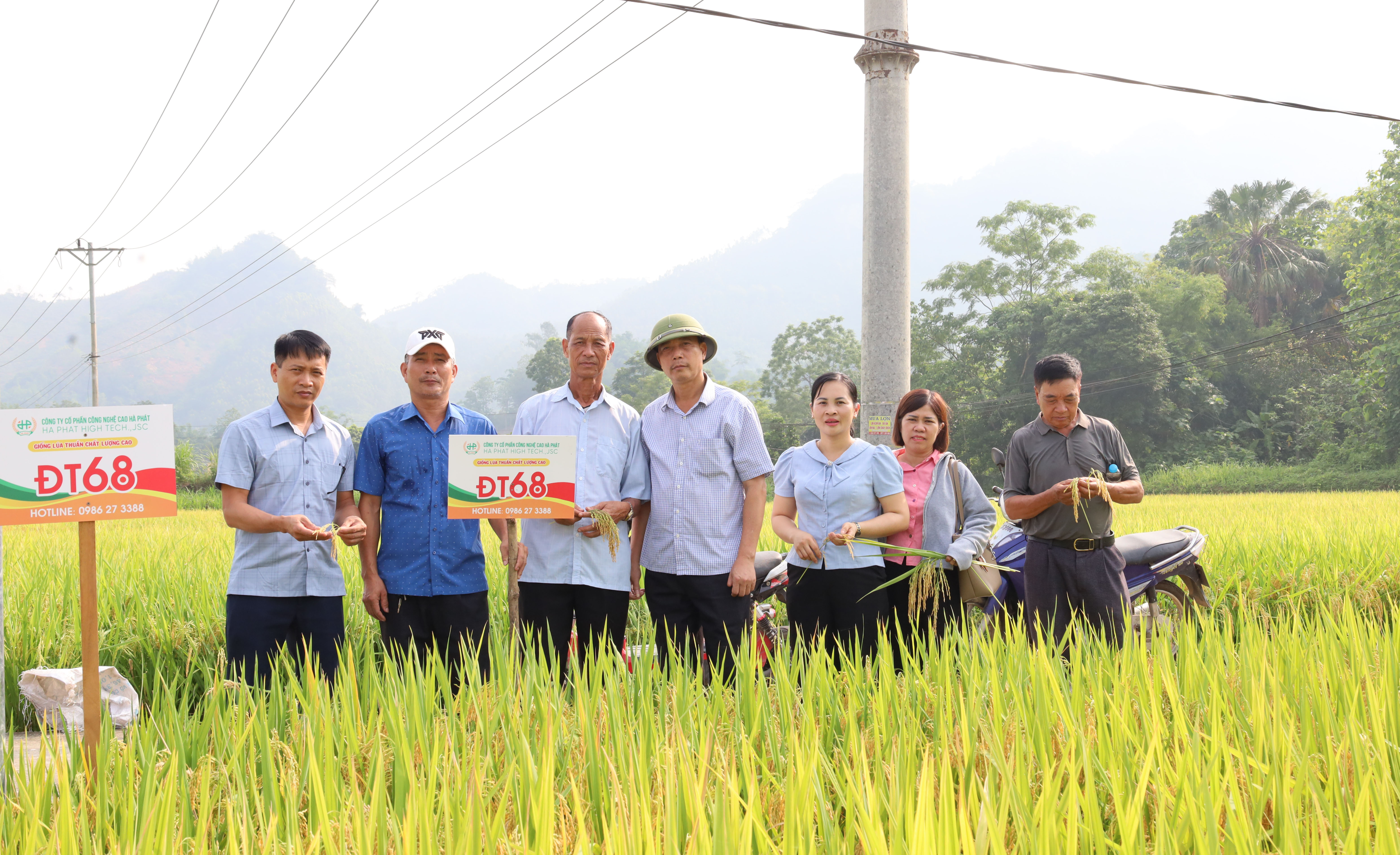 HỘI NGHỊ ĐẦU BỜ ĐÁNH GIÁ GIỐNG LÚA THUẦN ĐT68 VÀ GIỐNG LÚA LAI 3 DÒNG CHẤT LƯỢNG CAO HYT325