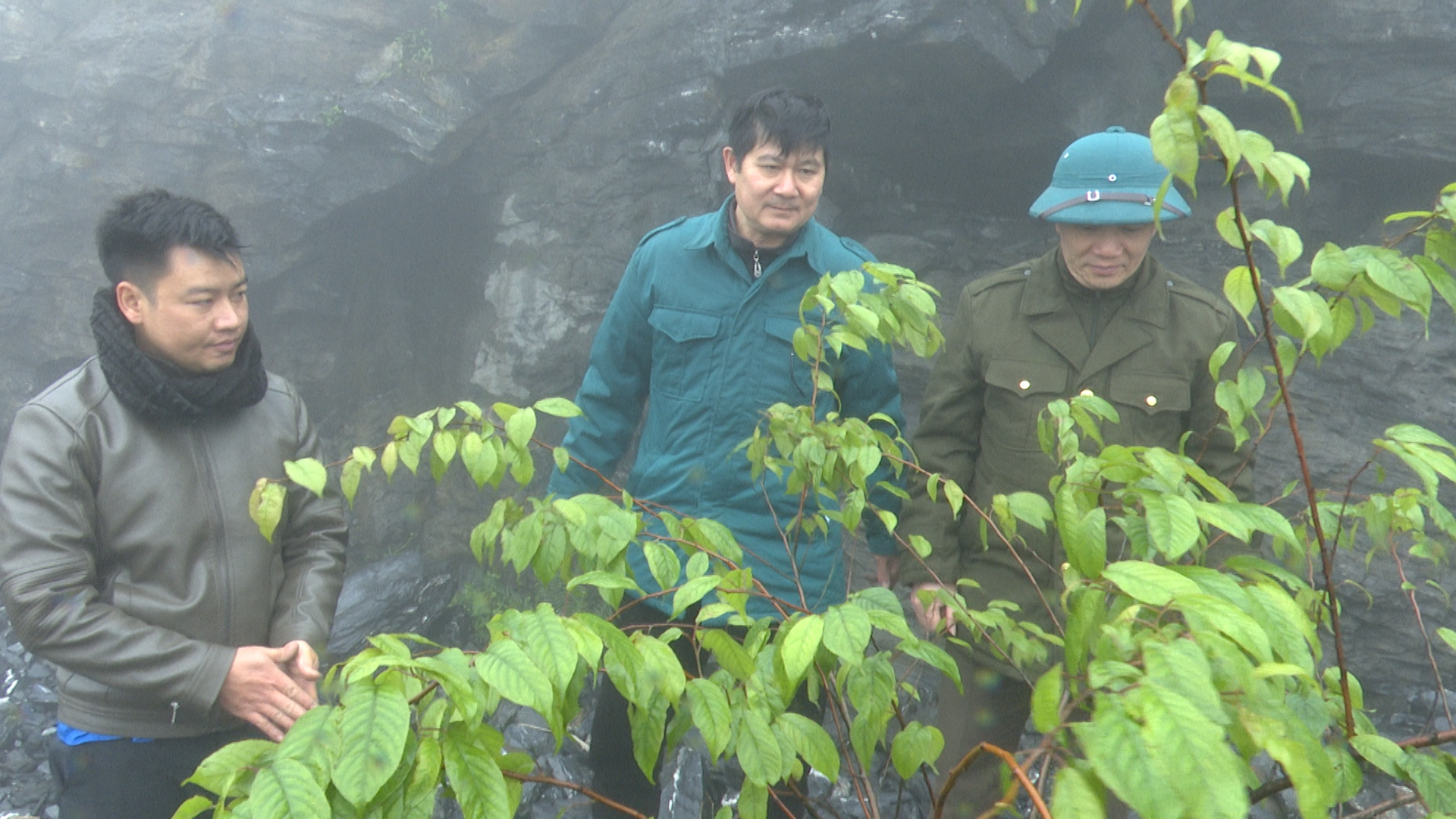XÃ MINH SƠN PHÁT ĐỘNG CHĂM SÓC CÂY HOA MAI ANH ĐÀO TẠI KHU VỰC ĐÈO GIÓ