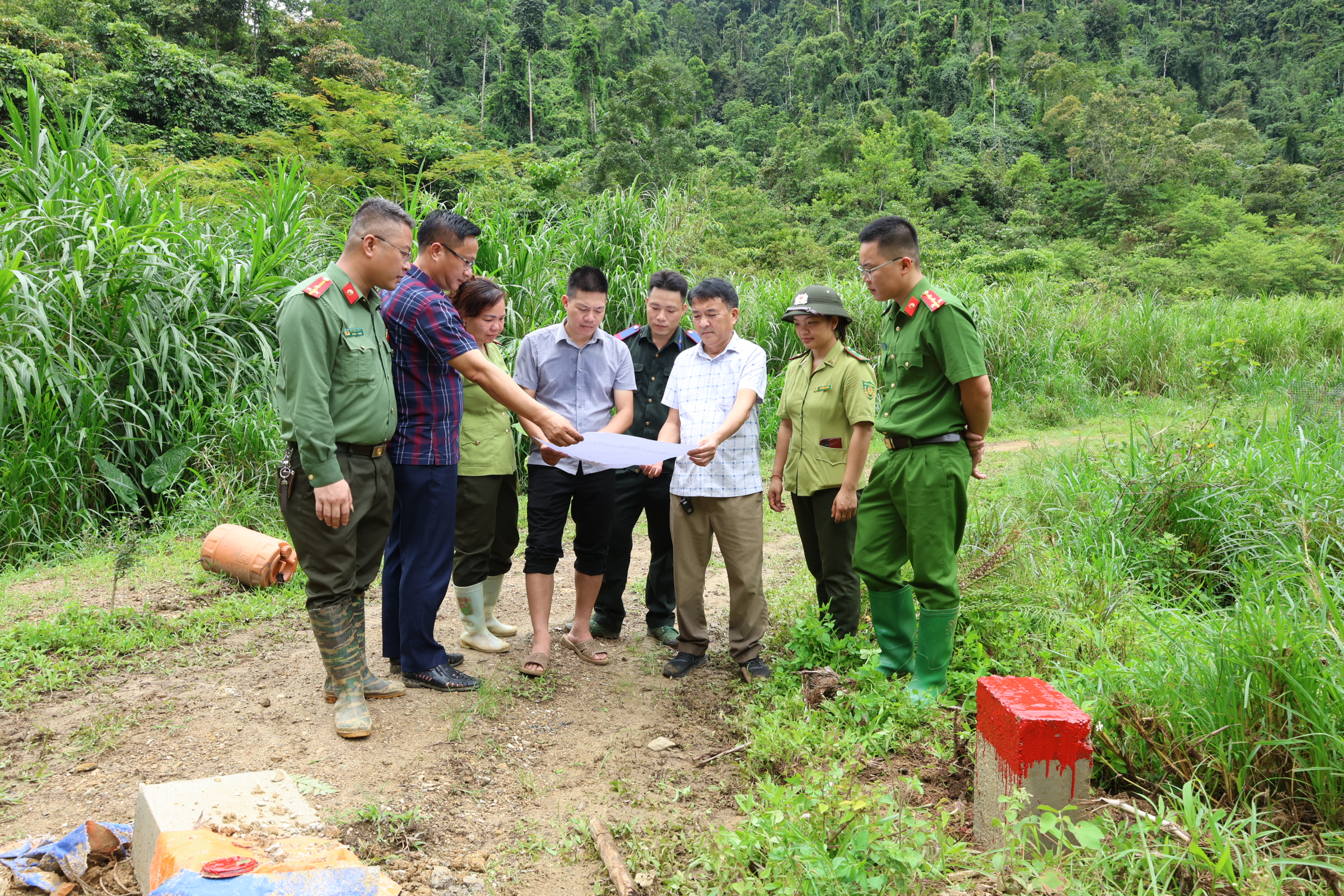 Đẩy nhanh tiến độ giao rừng, cho thuê rừng trên địa bàn tỉnh