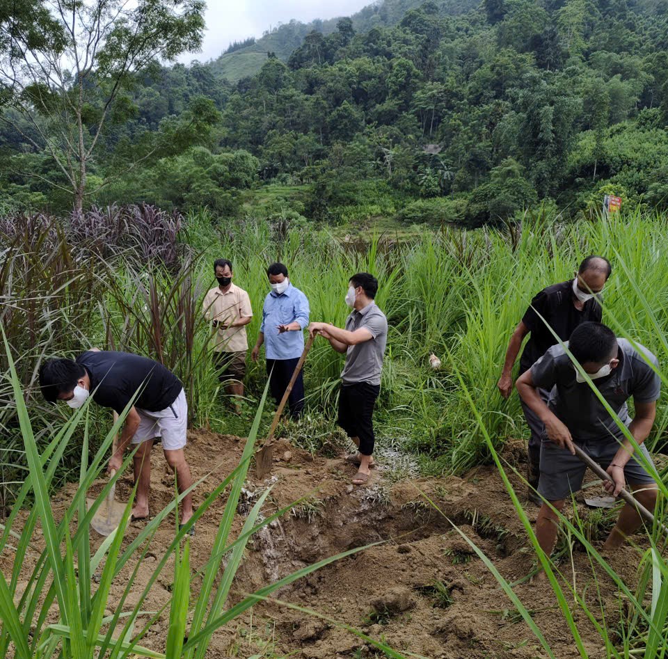 Xã Thông Nguyên xử lý kịp thời trường hợp trâu chết do bệnh tụ huyết trùng