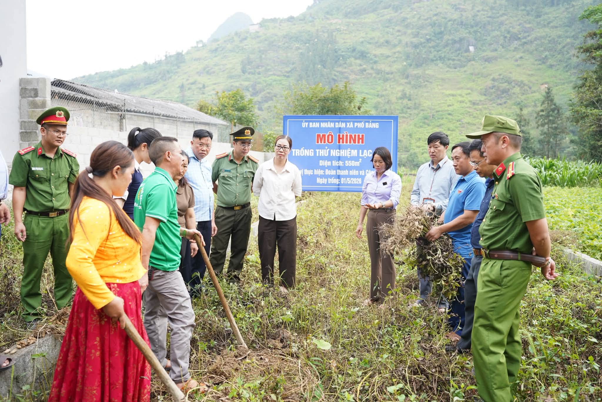 HỘI NGHỊ ĐẦU BỜ ĐÁNH GIÁ MÔ HÌNH TRỒNG THỬ NGHIỆM CÂY LẠC HOA TẠI XÃ PHỐ BẢNG