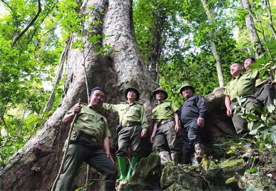 Tuyên Quang: Lâm Bình phát huy vai trò cộng đồng bảo vệ rừng