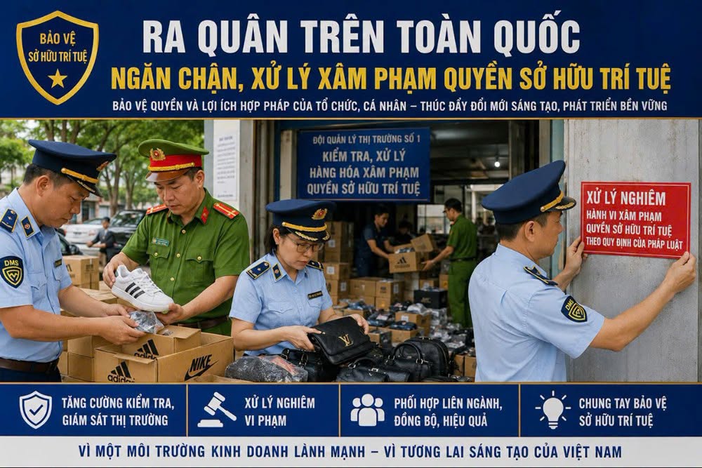 Tăng cường đấu tranh, ngăn chặn và xử lý các hành vi xâm phạm quyền sở hữu trí tuệ