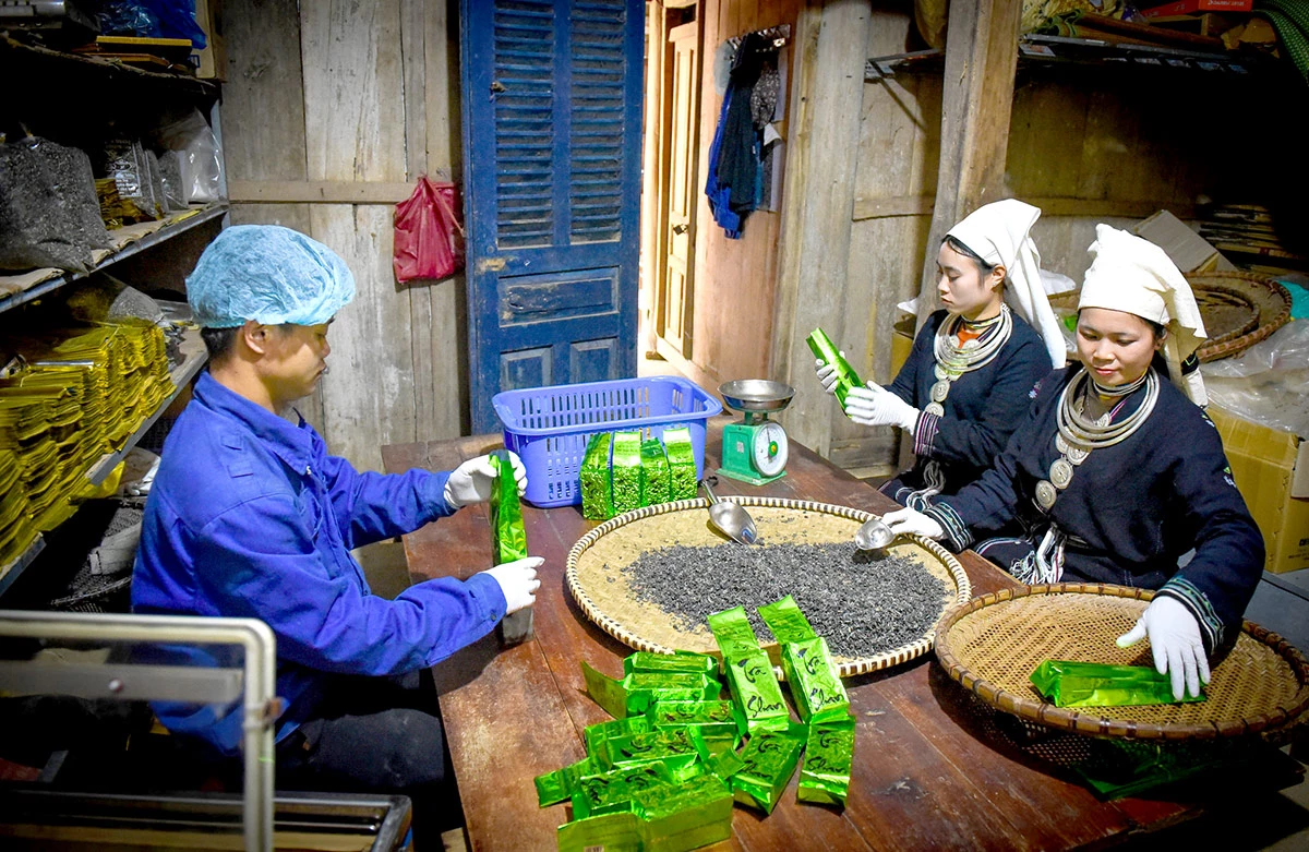 Bước chuyển xây dựng hệ sinh thái bền vững