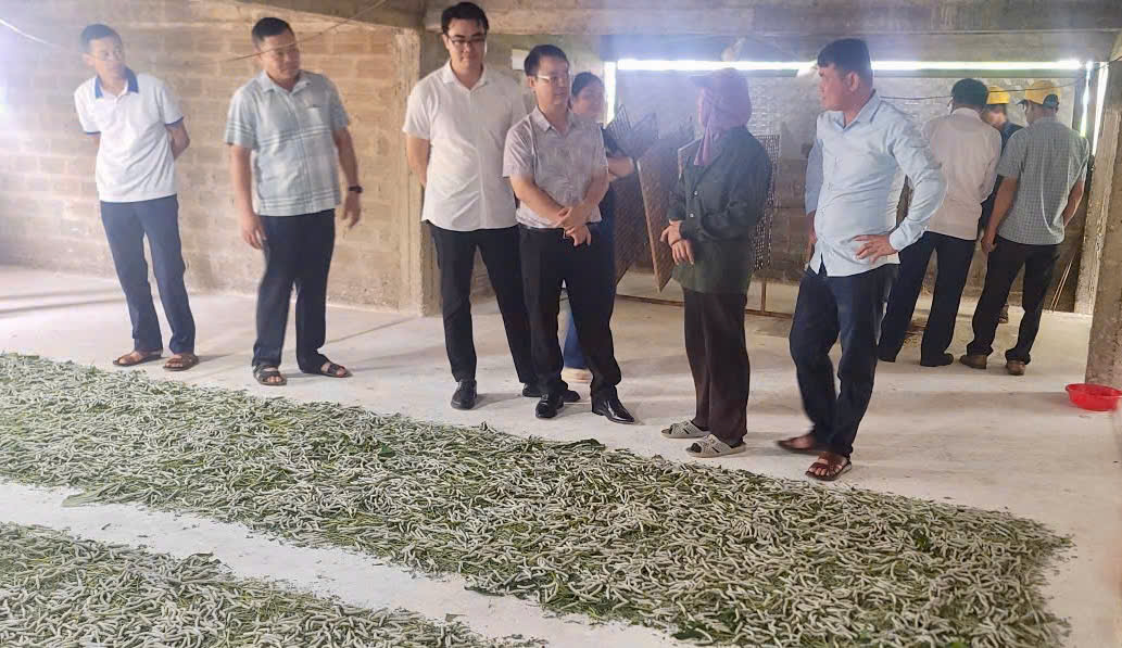 Kiên Đài: Tăng cường học tập mô hình sản xuất, mở hướng phát triển nông nghiệp hàng hóa bền vững