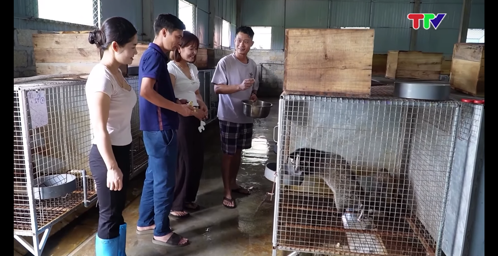 Người trẻ nông thôn làm kinh tế bằng tri thức