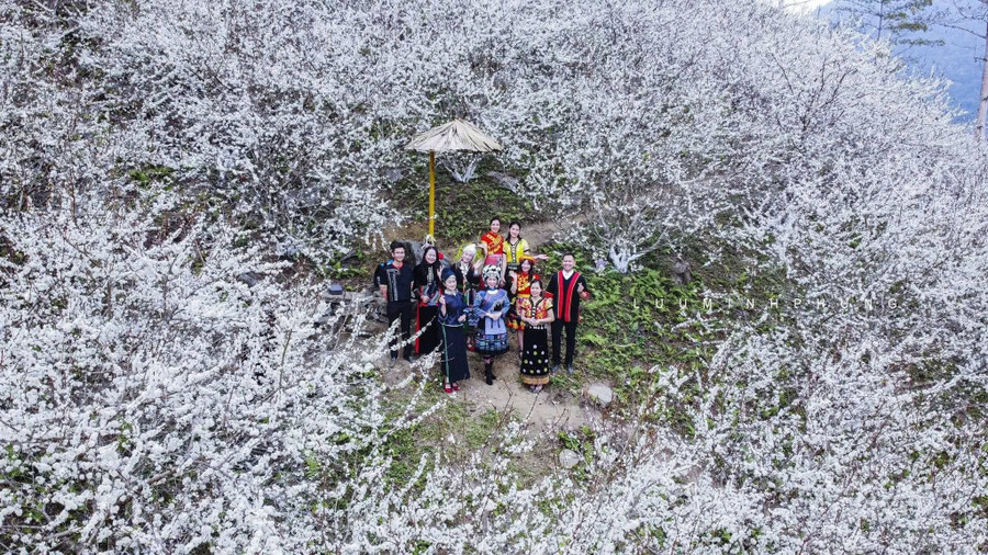 Khi núi rừng 'khoác áo trắng' mùa hoa lê