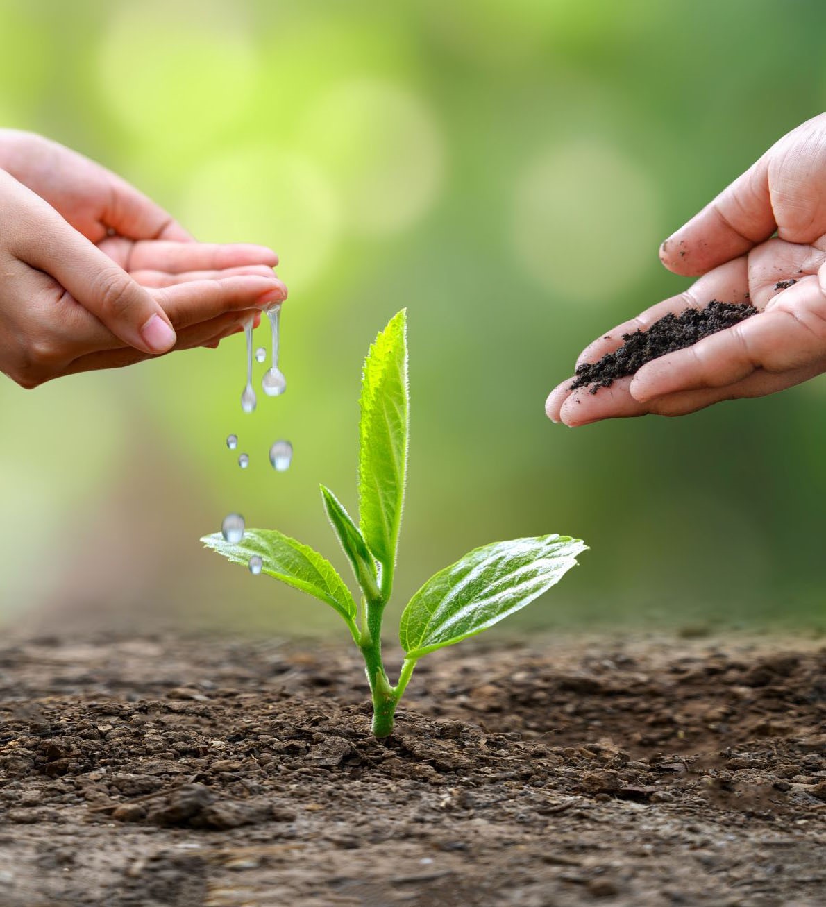 Một số quy định của pháp luật về bảo vệ môi trường đô thị và nông thôn.