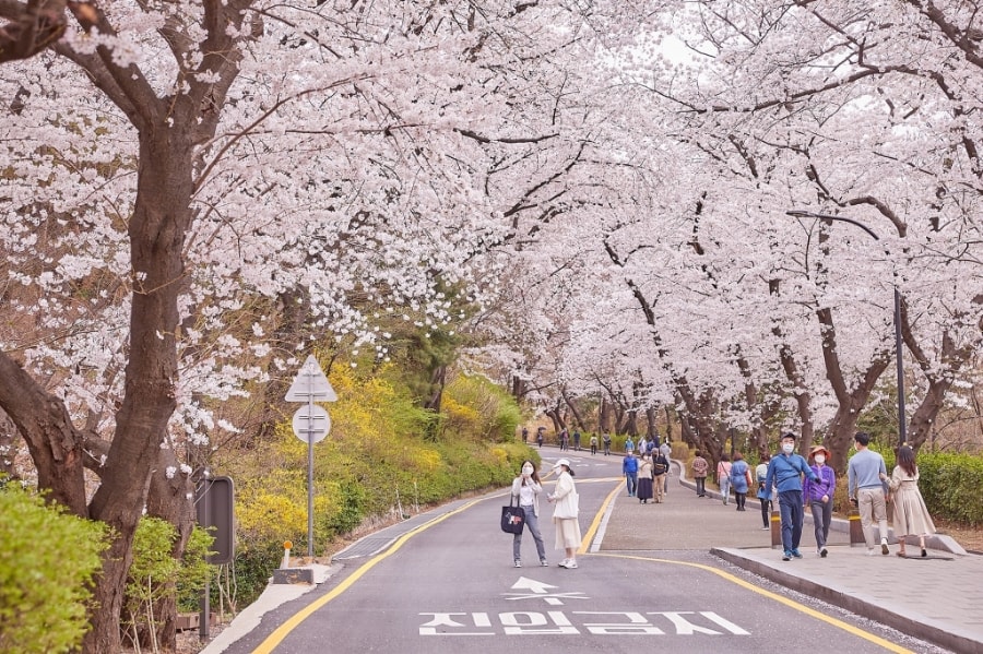 Hàn Quốc đặt mục tiêu lớn đón khách Việt Nam trong năm 2026