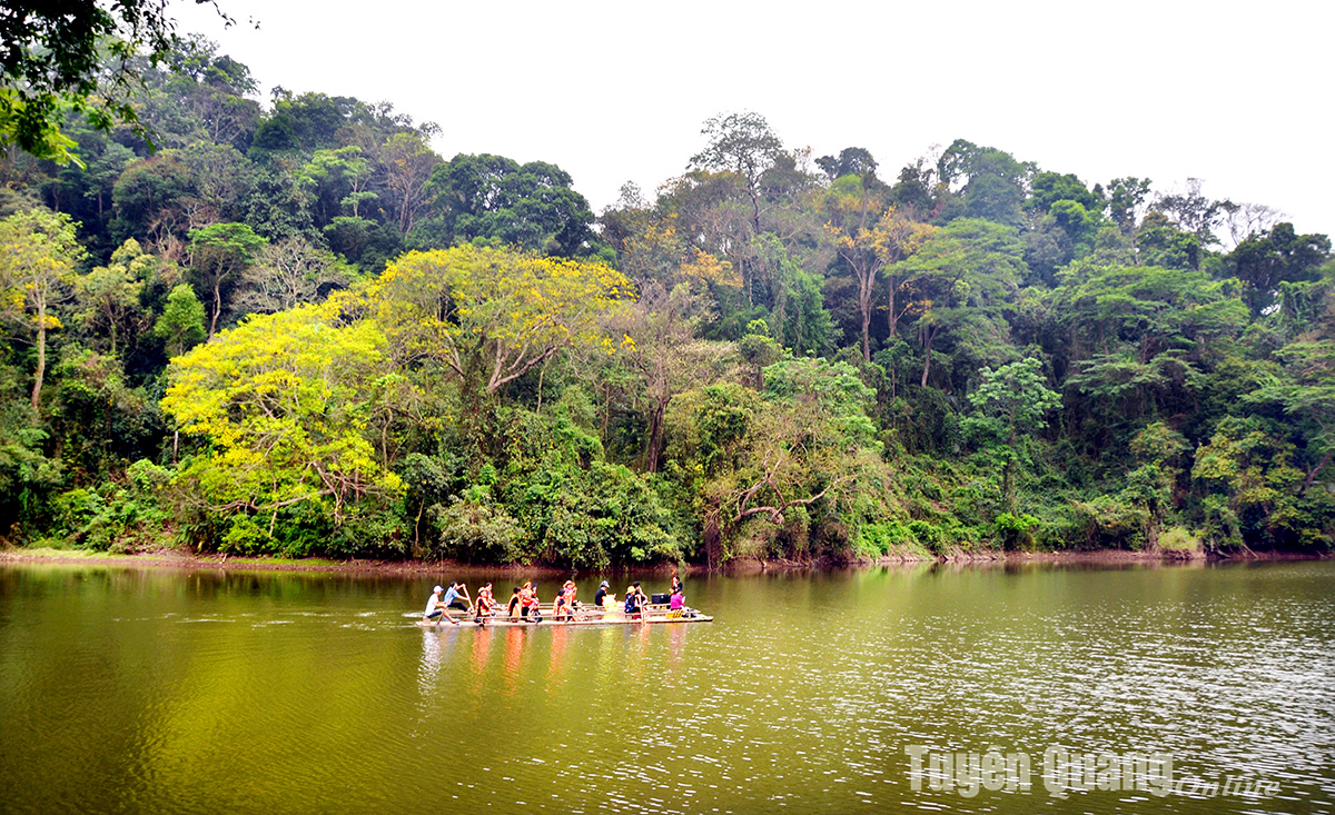 Trải nghiệm rừng Tân Trào