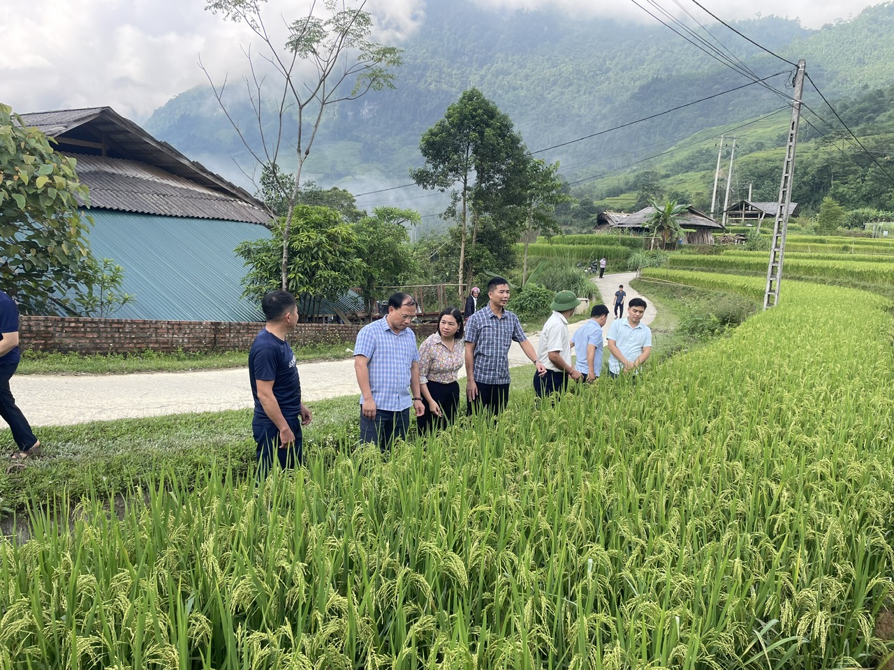 Đồng chí Âu Thế Thái, Tỉnh ủy viên, Bí thư Đảng ủy xã Lâm Bình kiểm tra công tác chuẩn bị tổ chức Ngày hội Văn hóa dân tộc Mông gắn với trải nghiệm mùa vàng tại thôn Khuổi Trang.