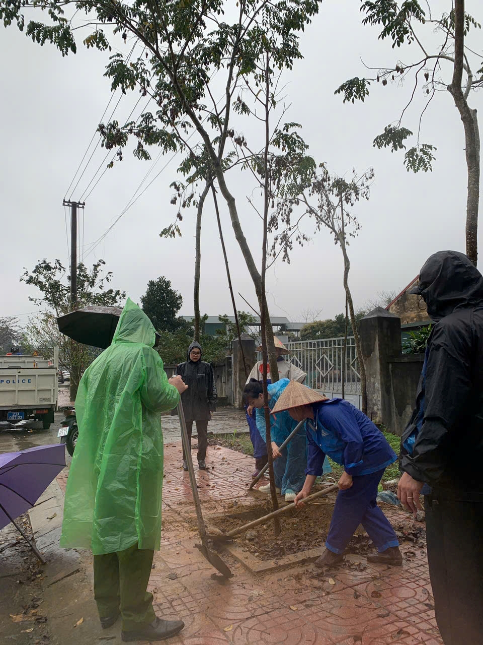 phát động trồng cây .66.jpg