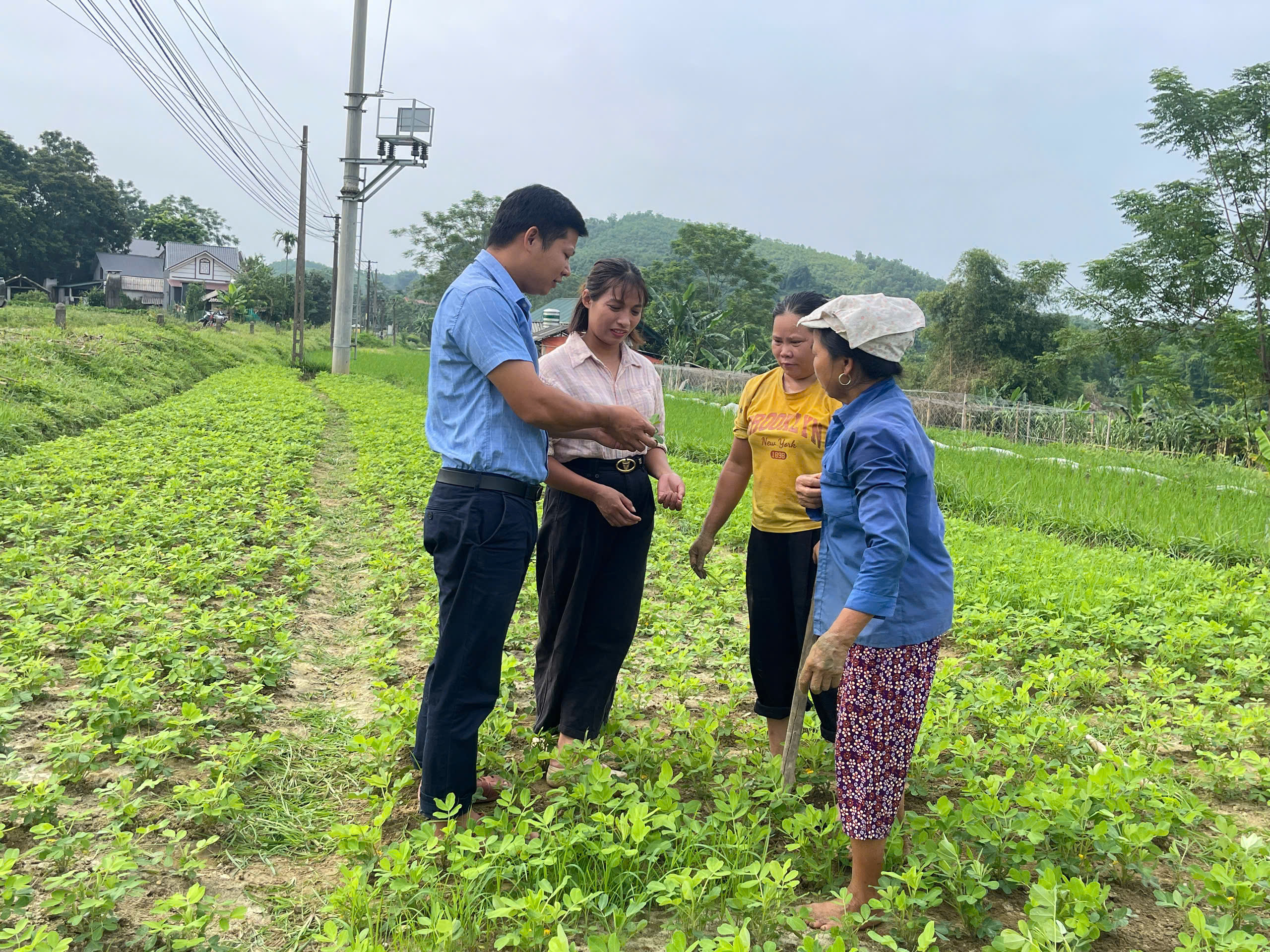 TRUNG TÂM DỊCH VỤ CÔNG XÃ TÂN MỸ PHỐI HỢP THĂM ĐỒNG, HƯỚNG DẪN PHÒNG TRỪ SÂU BỆNH HẠI CÂY TRỒNG