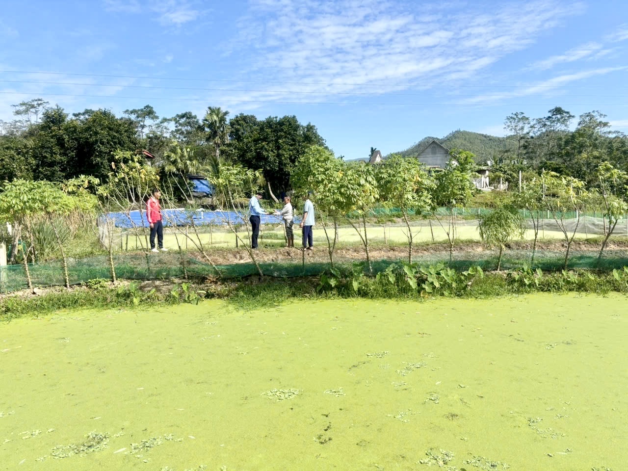 PHÓ CHỦ TỊCH UBND XÃ PHÚ LƯƠNG THĂM MÔ HÌNH KINH TẾ HIỆU QUẢ CỦA HỘ NÔNG DÂN HẦU VĂN NỐI