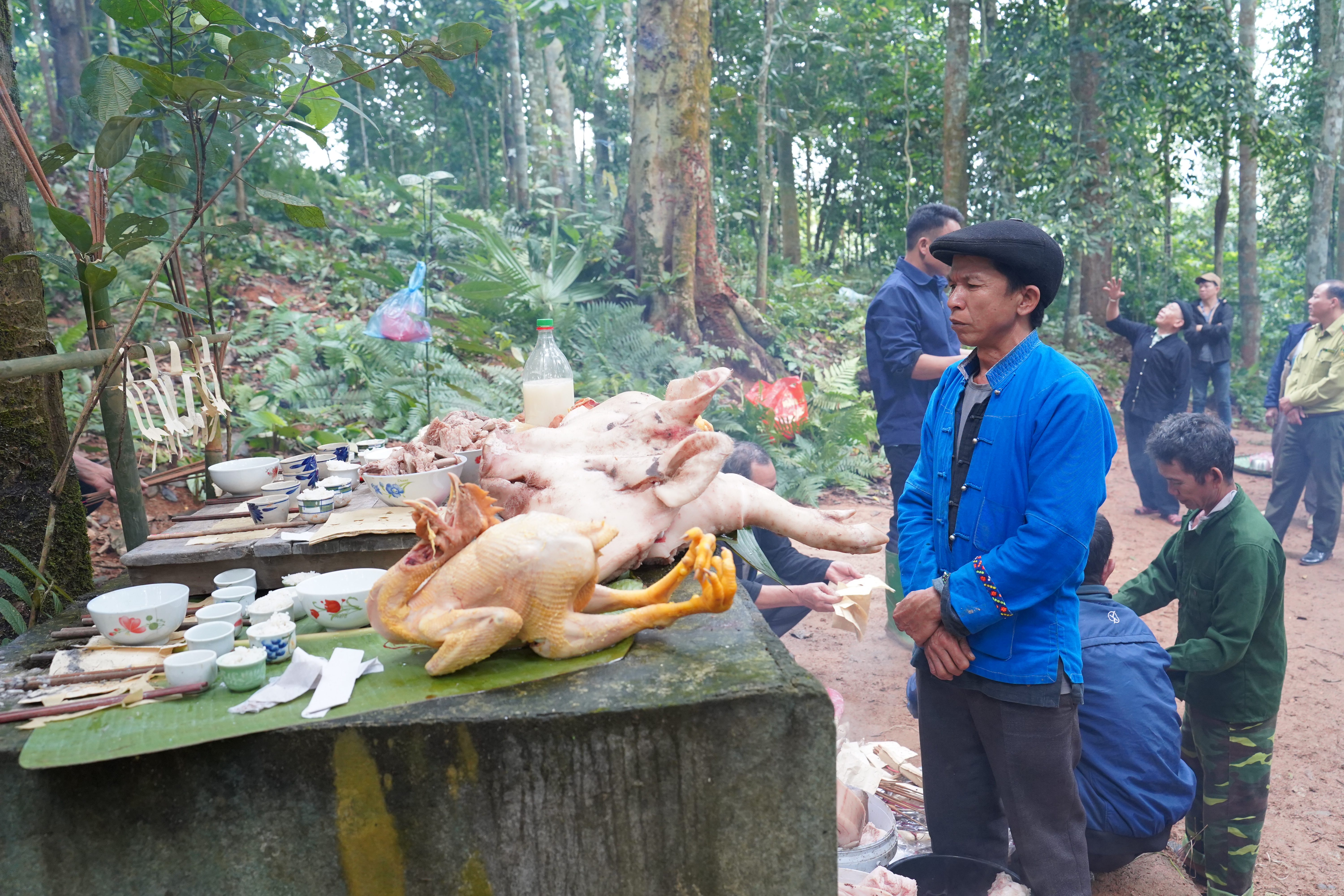 C&uacute;ng rừng 7.JPG