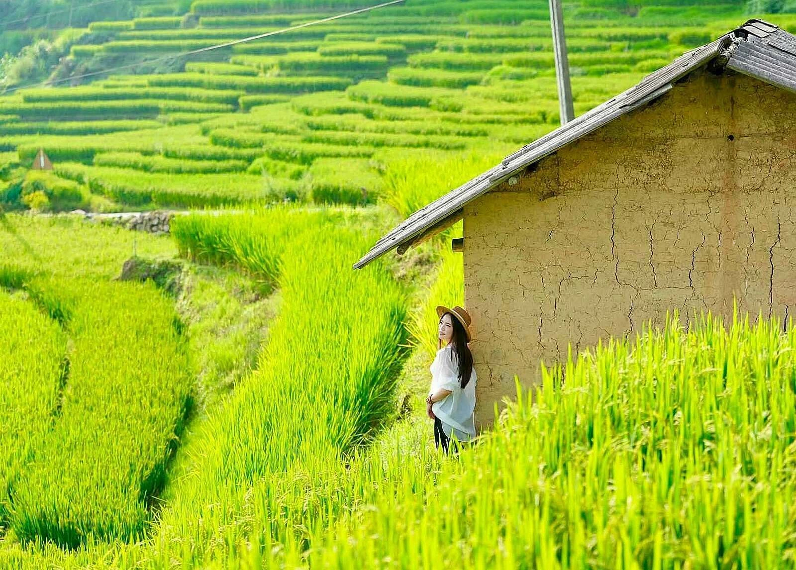 7 trải nghiệm không nên bỏ lỡ ở Y Tý mùa lúa chín