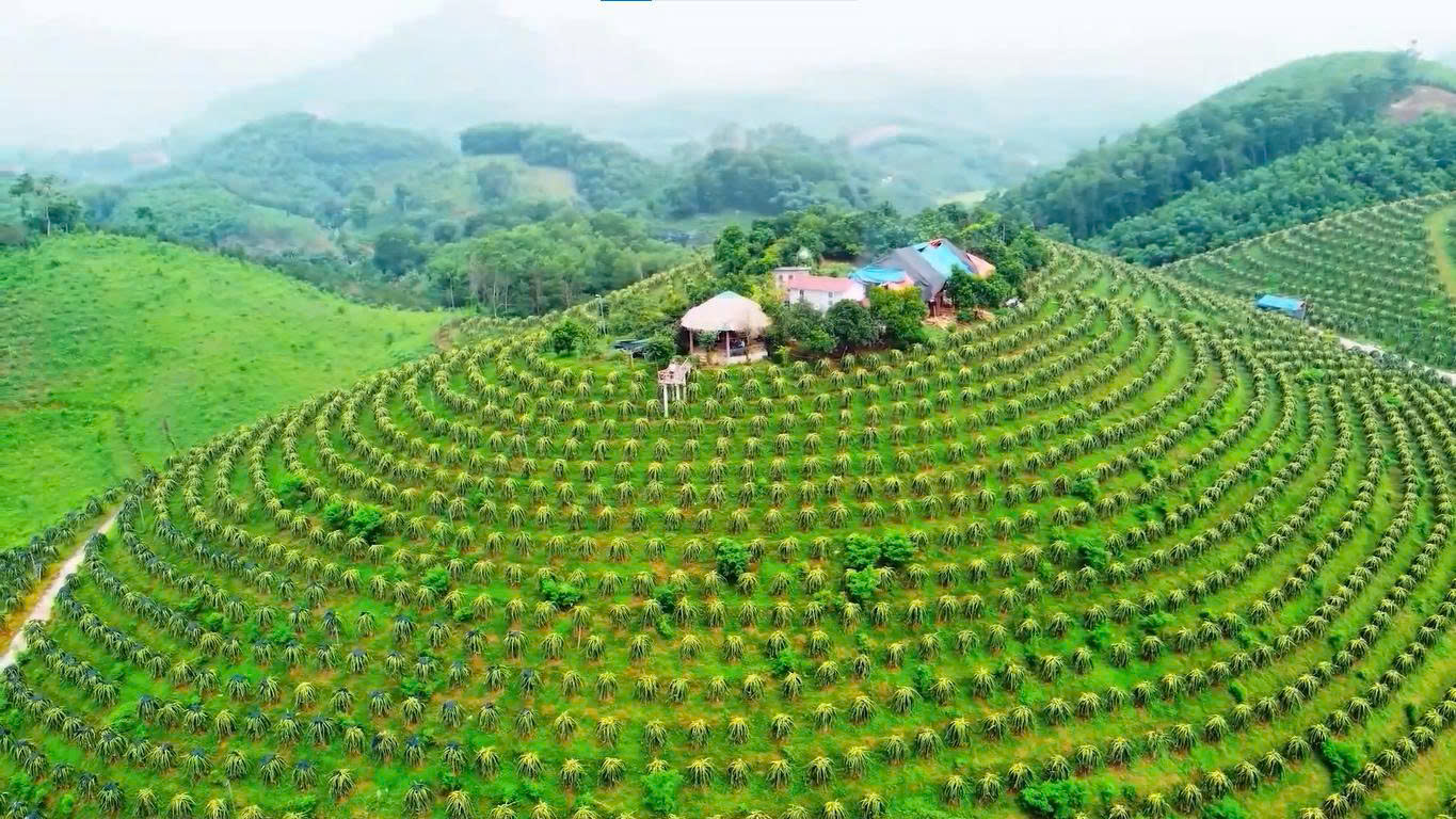 Tổng kết ngành Nông nghiệp và Môi trường tỉnh Tuyên Quang năm 2025