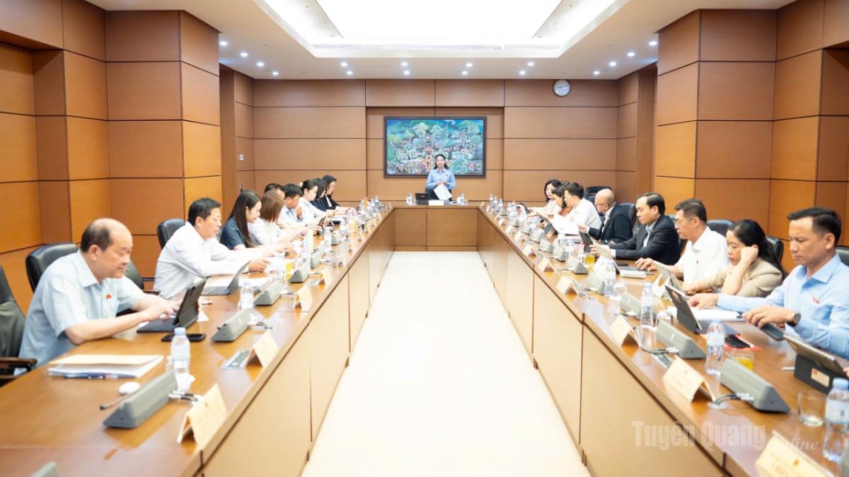 Đại biểu Quốc hội tỉnh Tuyên Quang góp ý nhiều nội dung về ngân sách, chương trình mục tiêu quốc gia, đất đai và nhà ở