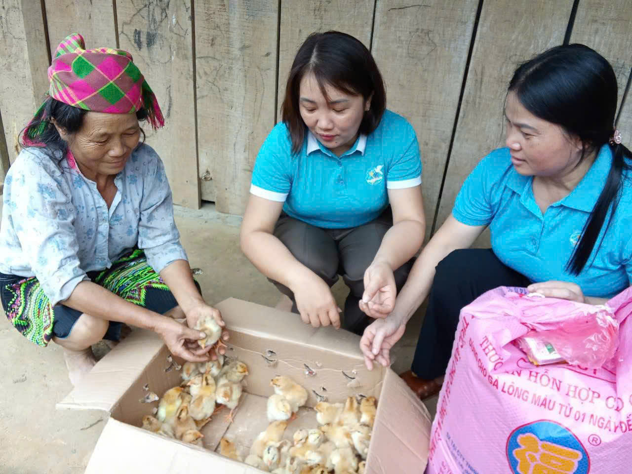 Hỗ trợ hội viên phụ nữ phát triên kinh tế