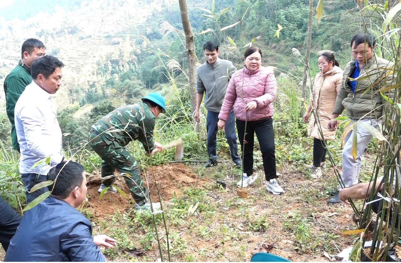 Lãnh đạo xã Pờ Ly Ngài tham gia trồng cây tại hộ gia đình trồng thử nghiệm cây tre Lục trúc