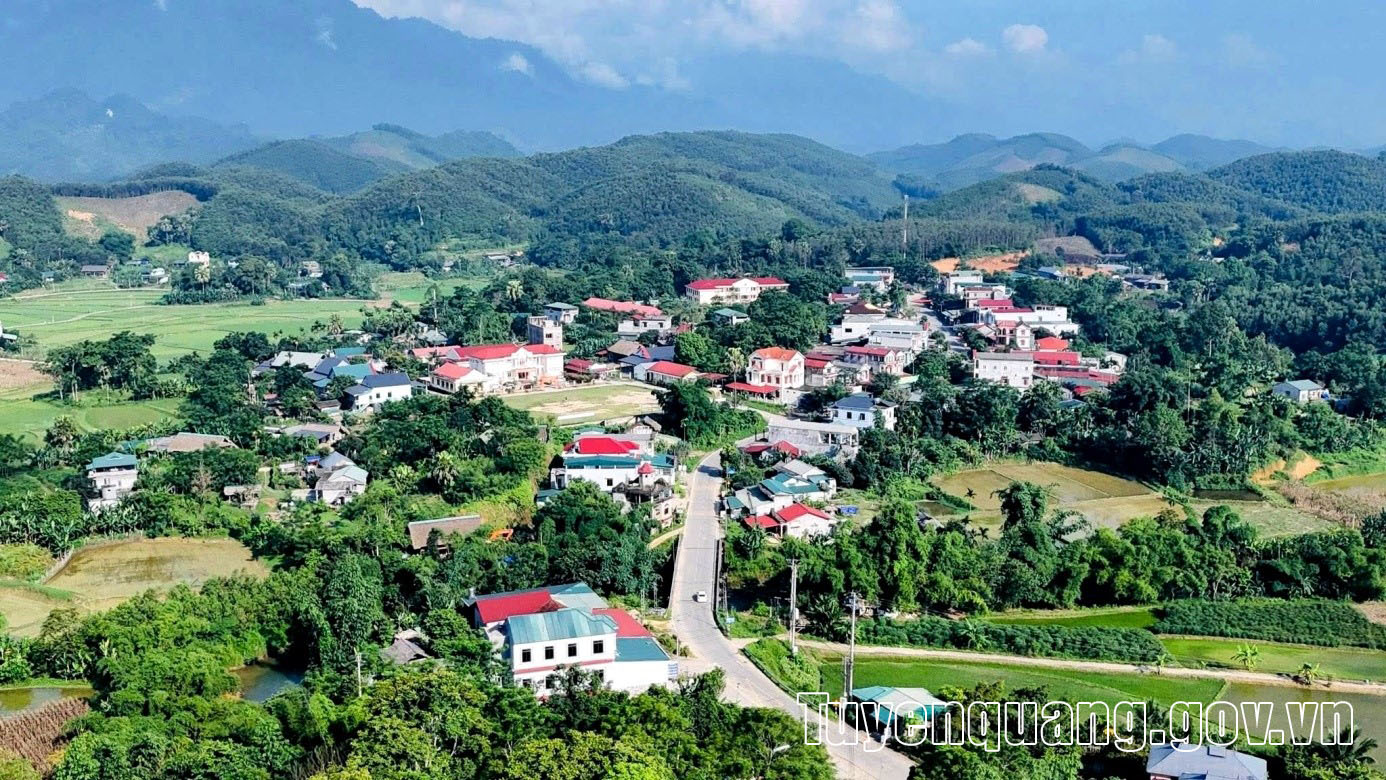 Tân An sau sáp nhập: Vững vàng tổ chức, quyết liệt hành động, hướng đến phát triển bền vững