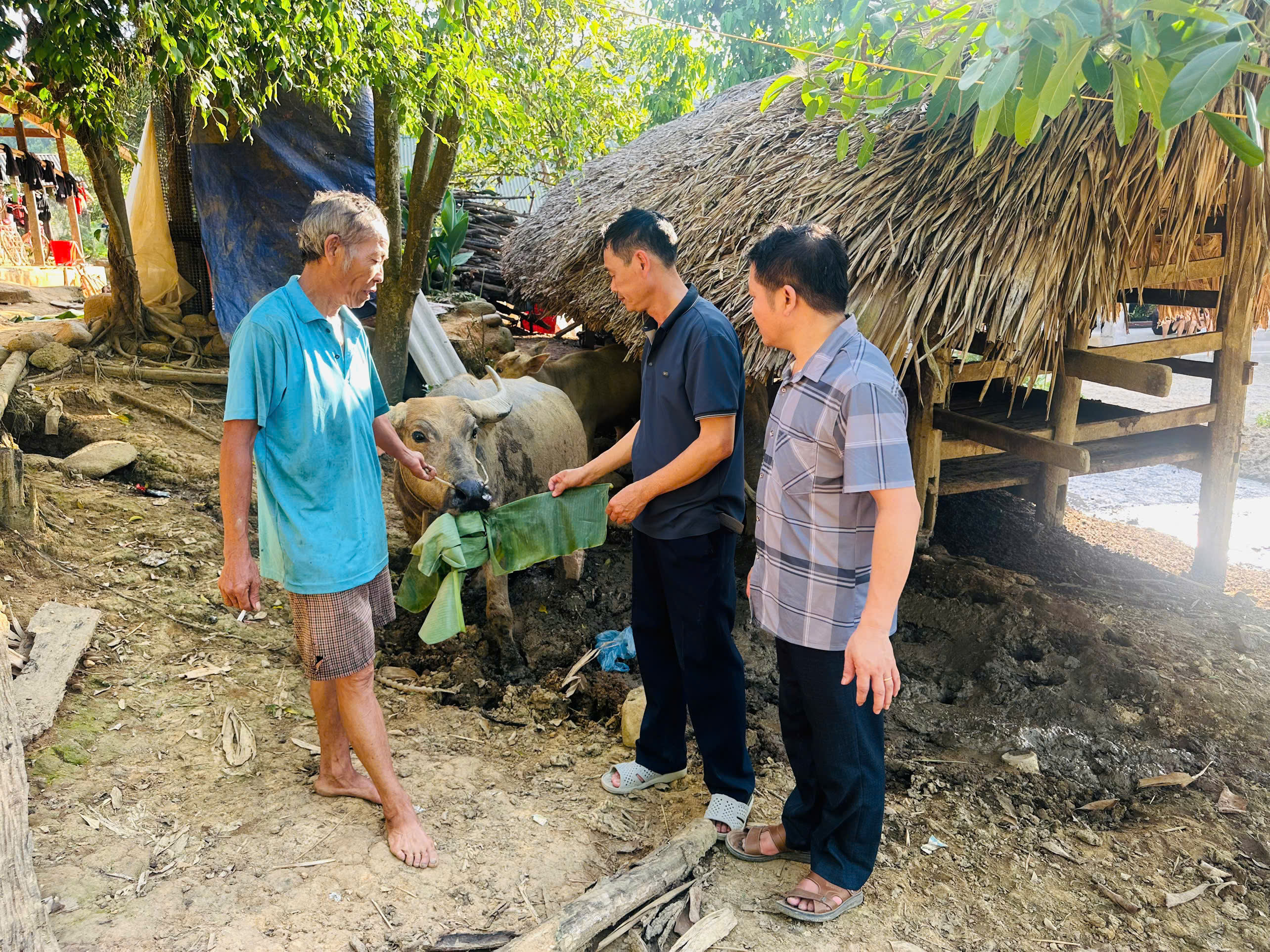 TRUNG TÂM DỊCH VỤ CÔNG XÃ HÙNG LỢI, TỈNH TUYÊN QUANG KHUYẾN CÁO CÁC BIỆN PHÁP KỸ THUẬT PHÒNG CHỐNG NẮNG NÓNG, MƯA LŨ VÀ DỊCH BỆNH CHO ĐÀN GIA SÚC, GIA CẦM