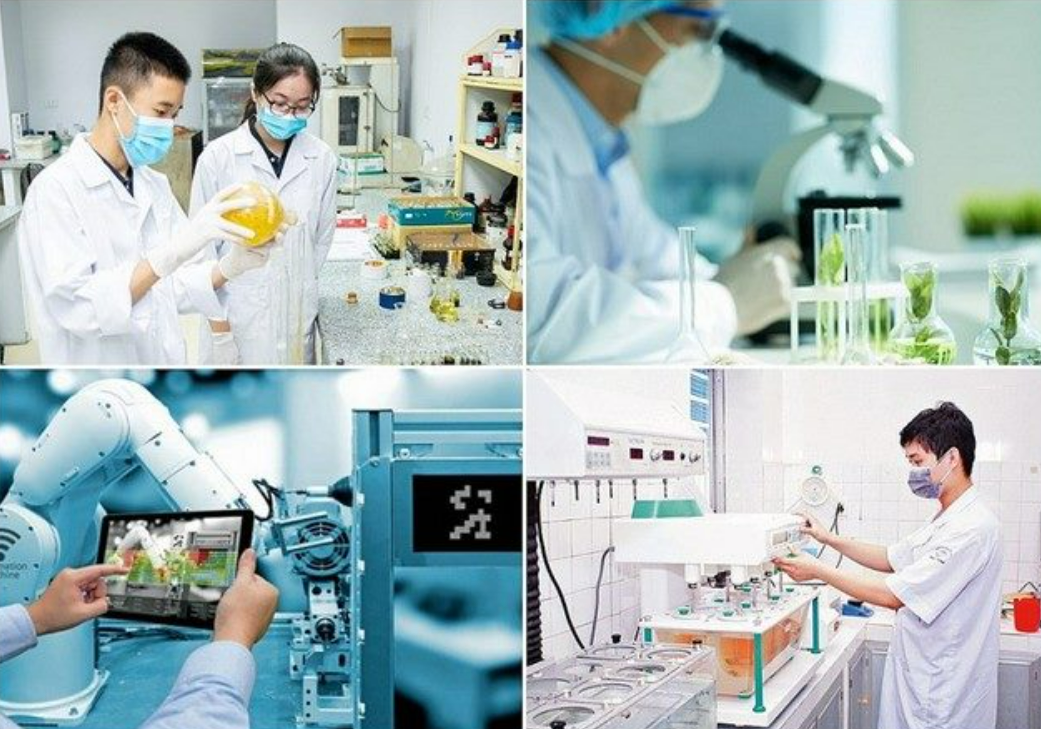 TUYÊN QUANG: PHÁT TRIỂN NGUỒN NHÂN LỰC KHOA HỌC VÀ CÔNG NGHỆ CHẤT LƯỢNG CAO, GẮN KẾT ĐÀO TẠO VỚI NGHIÊN CỨU VÀ NHU CẦU CỦA DOANH NGHIỆP