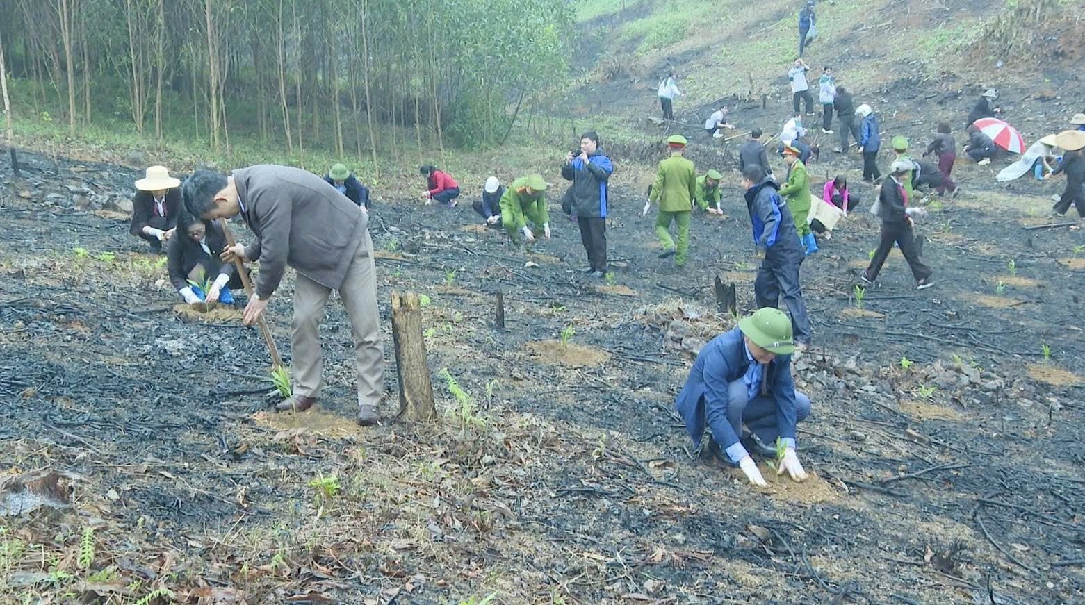 Xã Sơn Dương hưởng ứng Lễ phát động “Tết trồng cây đời đời nhớ ơn Bác Hồ” và phong trào thi đua năm 2026