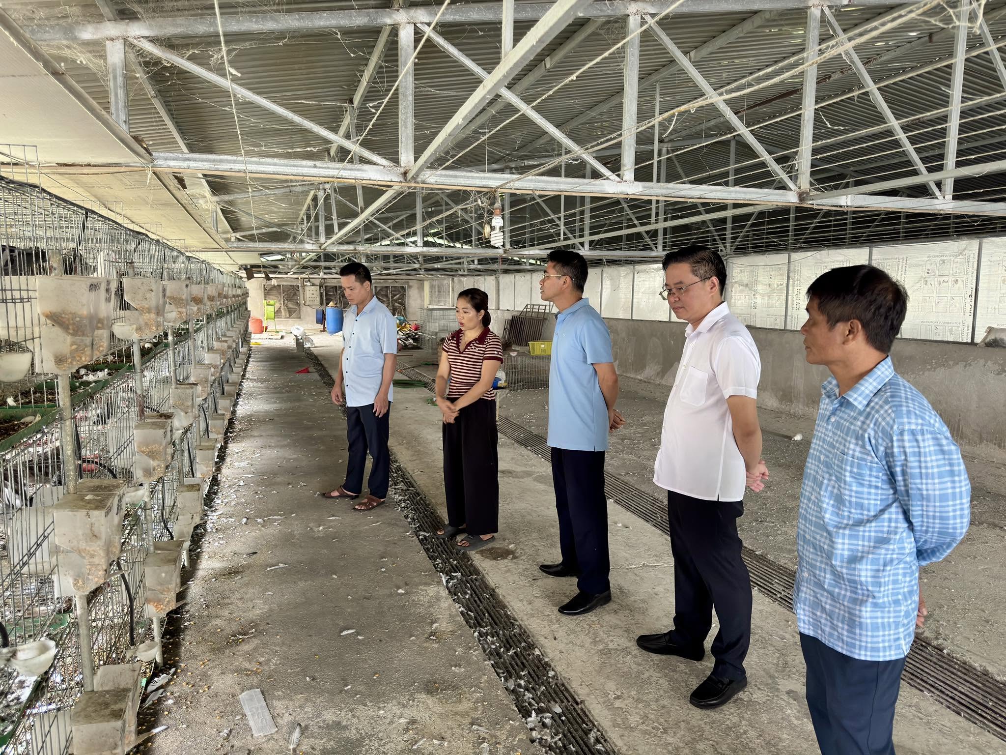 Tham quan, học tập kinh nghiệm các mô hình nuôi chim bồ câu