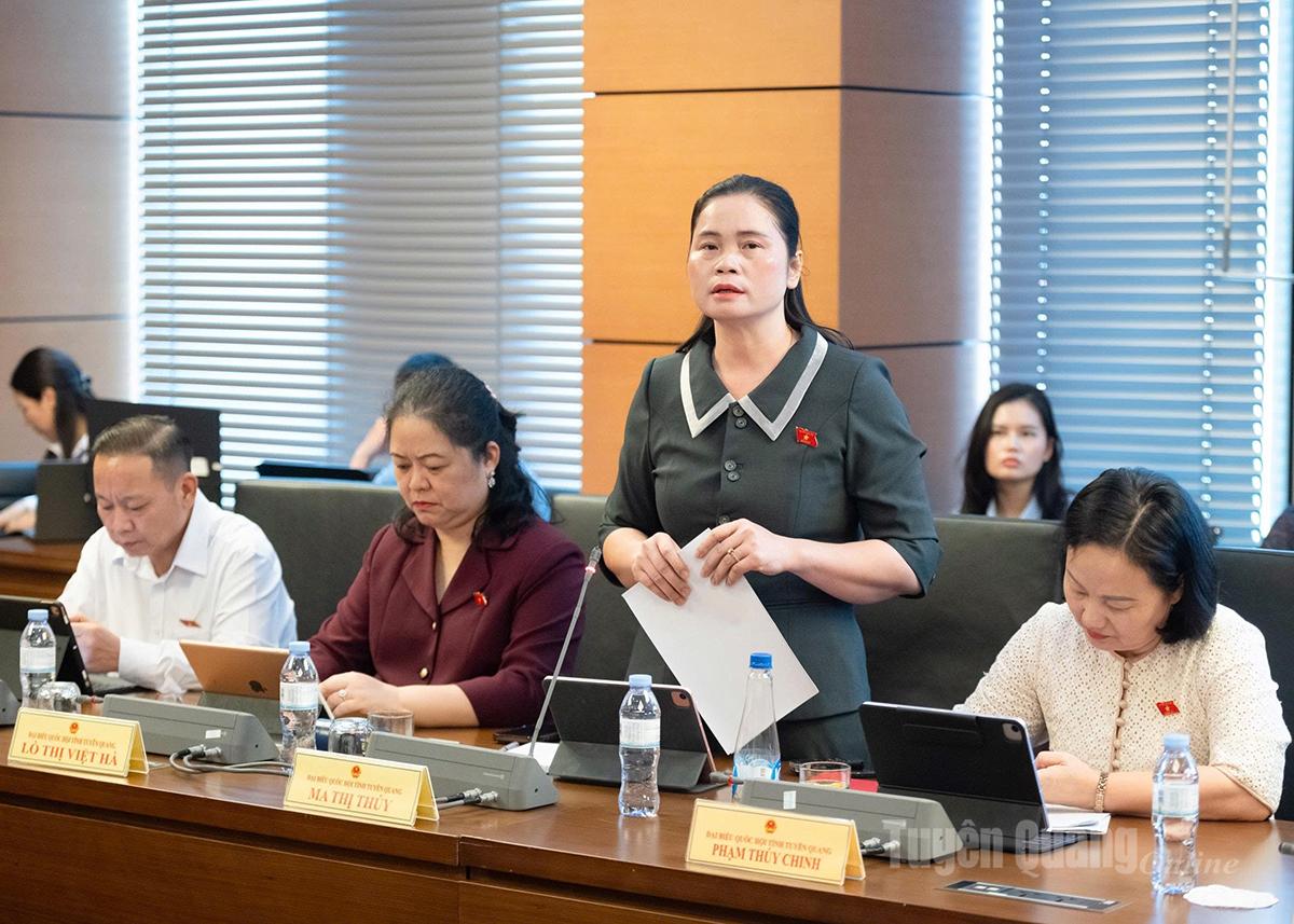Quan tâm bố trí thêm nguồn lực, phương tiện, điều kiện hoạt động cho Đoàn ĐBQH các địa phương