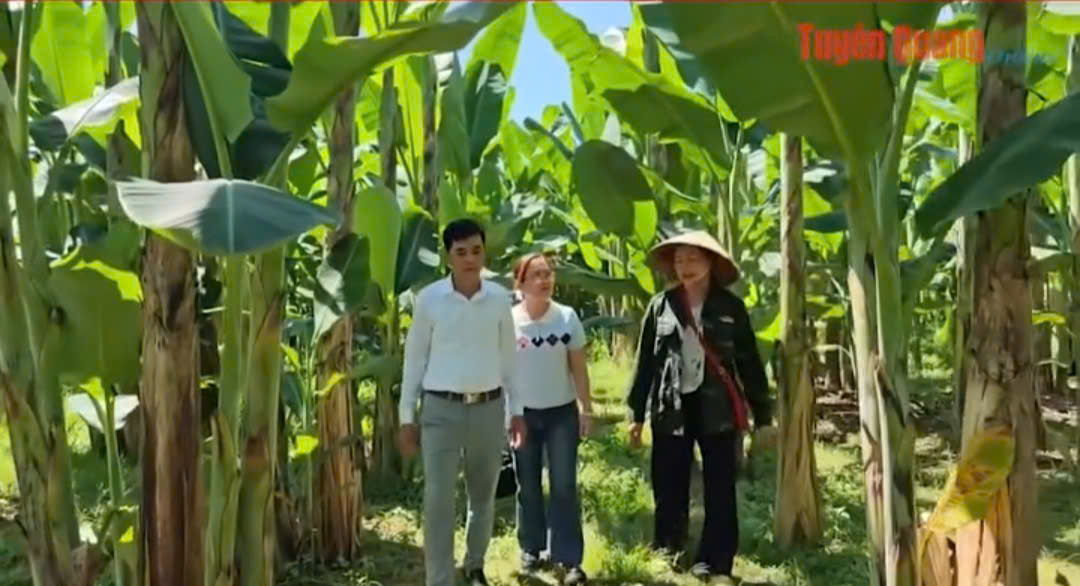 VIDEO: kHI NÔNG DÂN LÀM NÔNG THEO CÁCH MỚI