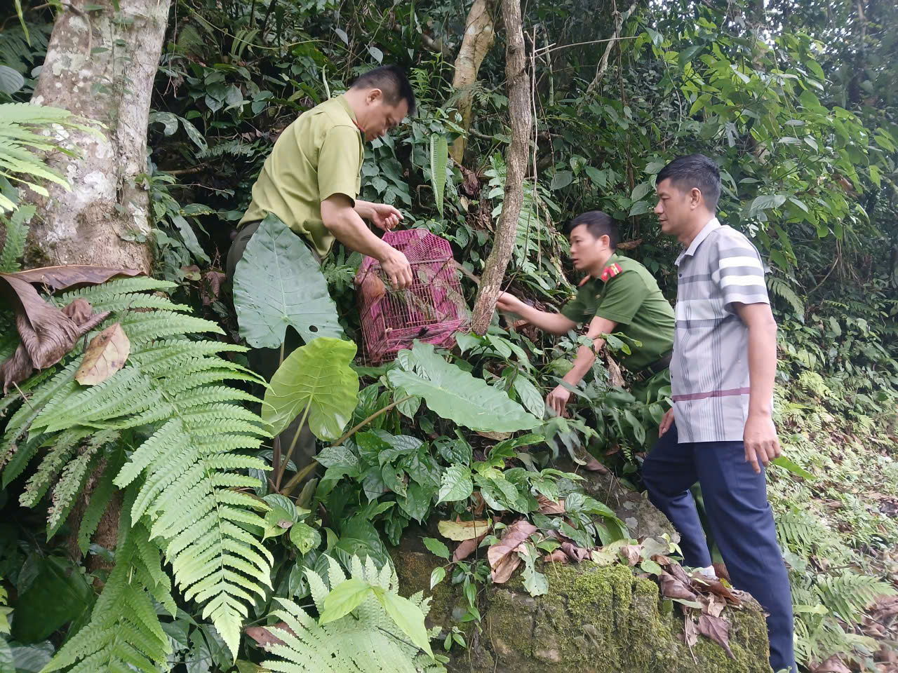 CÔNG AN XÃ XUÂN GIANG PHỐI HỢP THẢ ĐỘNG VẬT VỀ MÔI TRƯỜNG TỰ NHIÊN