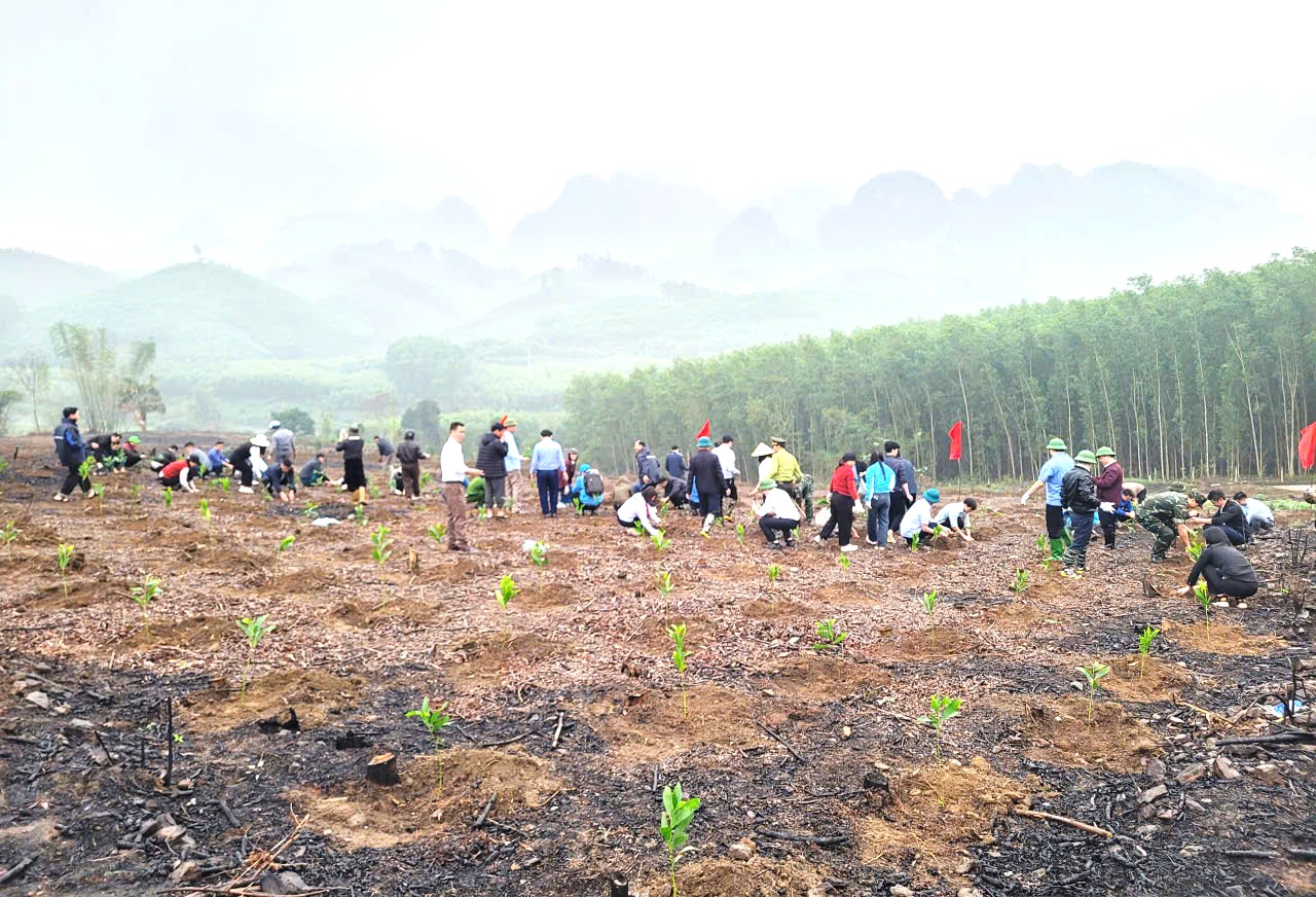 Xã Tân Thanh phát động Tết trồng cây “Đời đời nhớ ơn Bác Hồ” Xuân Bính ngọ năm 2026