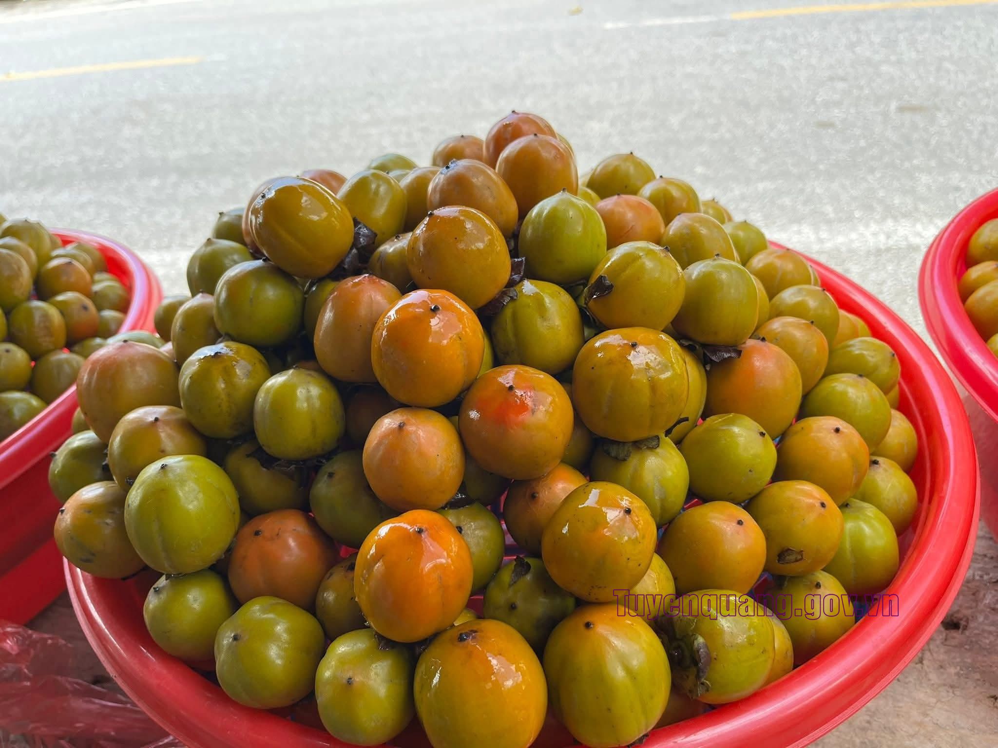 Hồng không hạt “đặc sản” nổi tiếng xứ Tuyên 