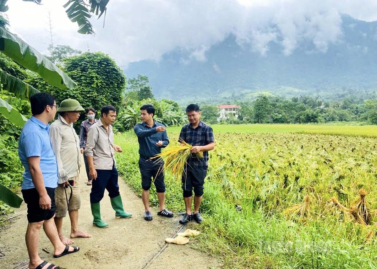 Nghị quyết lan tỏa Nhân dân đồng thuận