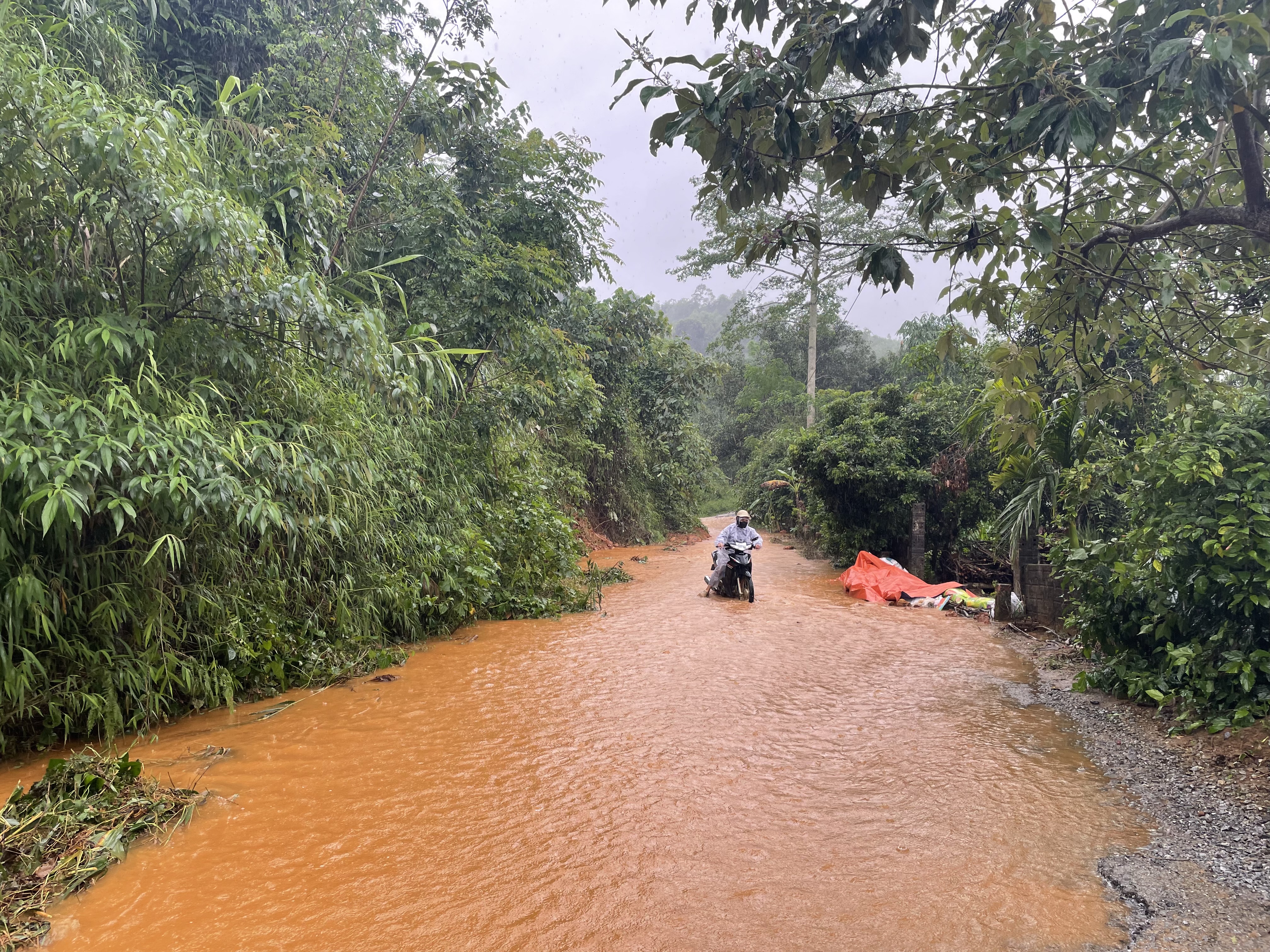 Sạt lở 11.JPG