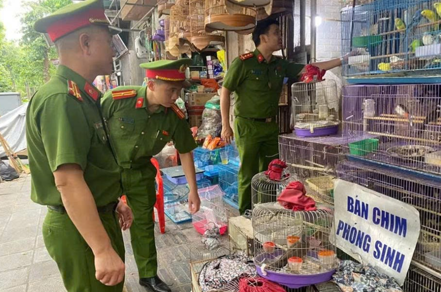 Chơi chim cảnh - từ thú chơi tao nhã đến rủi ro pháp lý và những hệ lụy đối với đa dạng sinh học