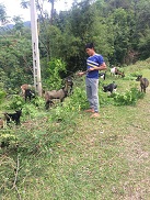 Thanh niên làm mô hình kinh tế hộ gia đình