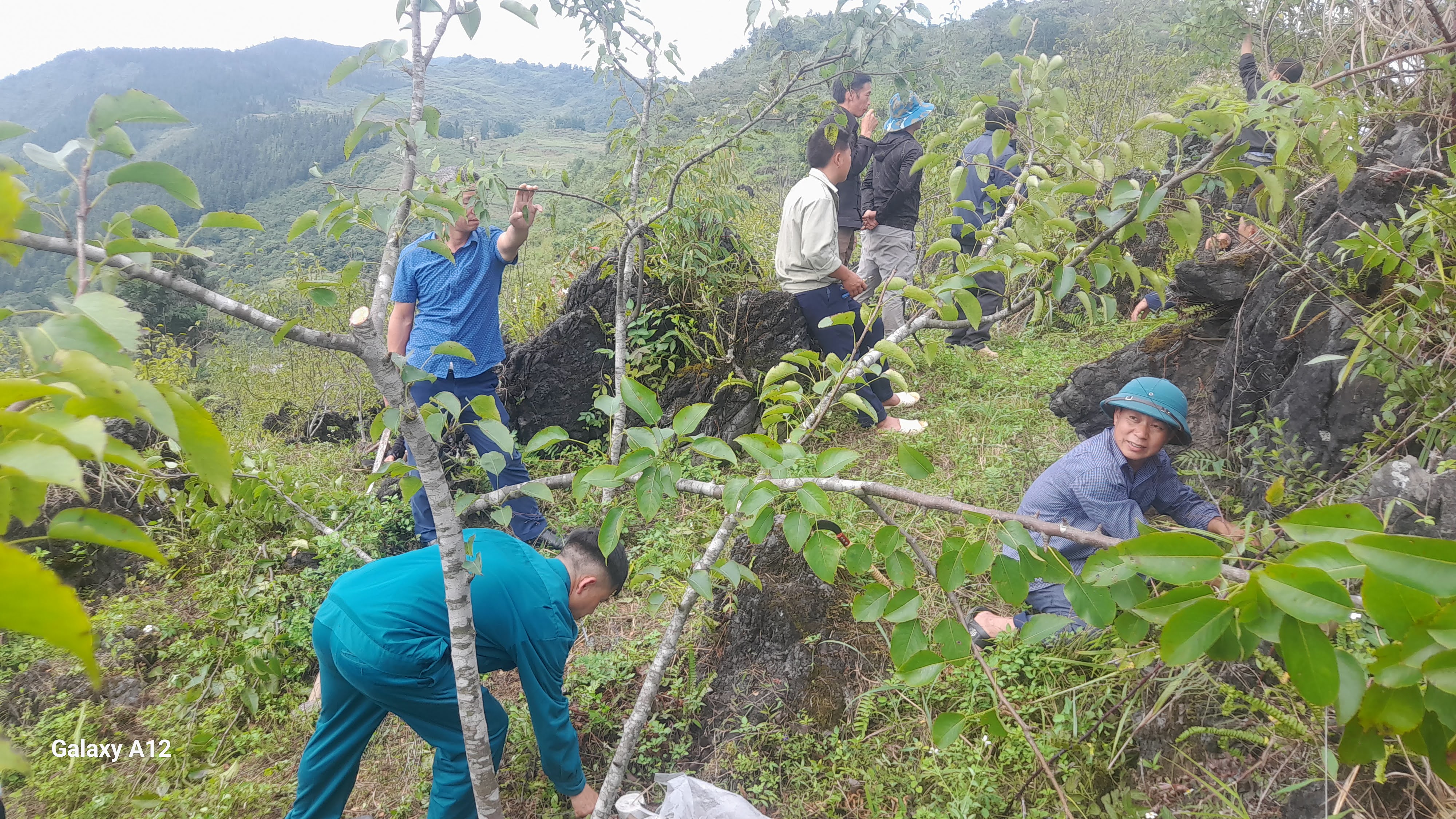 Tập huấn kỹ thuật chăm sóc cây ăn quả sau thu hoạch