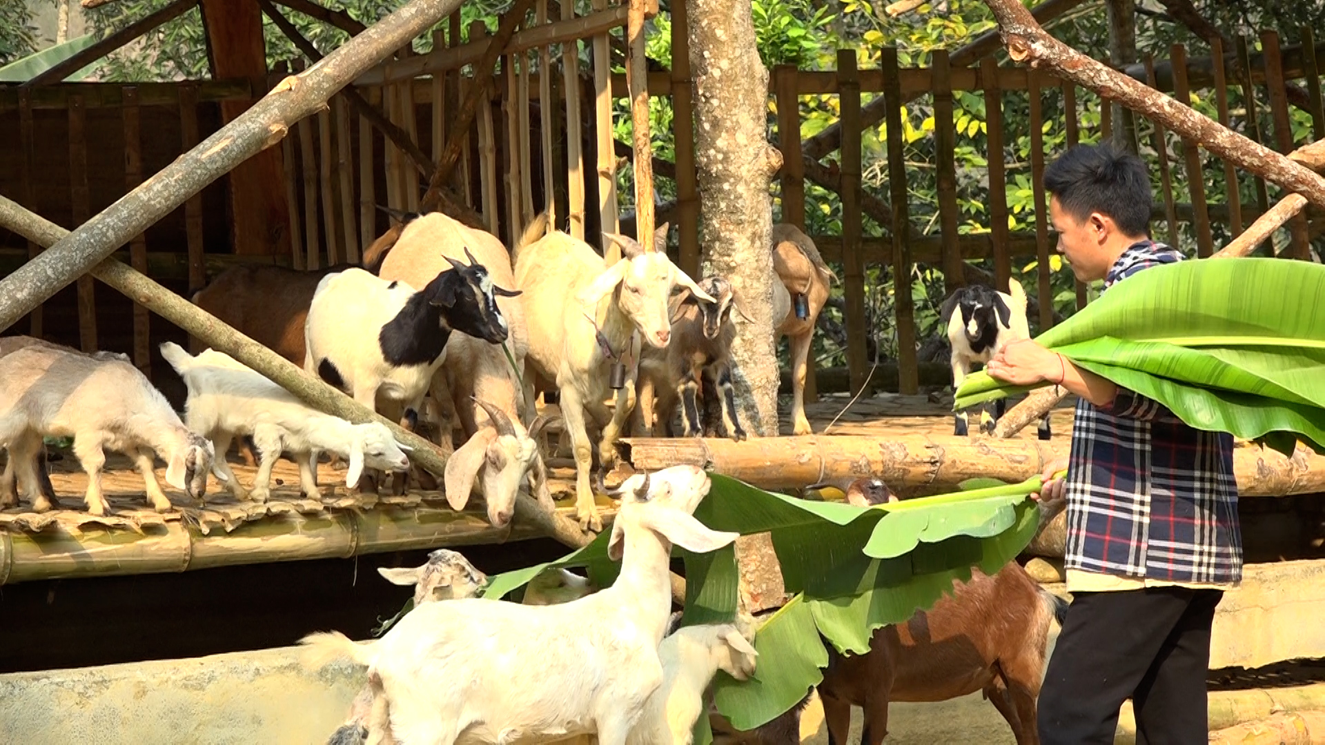 Xín Mần tập trung nâng cao tiêu chí thu nhập cho nhân dân