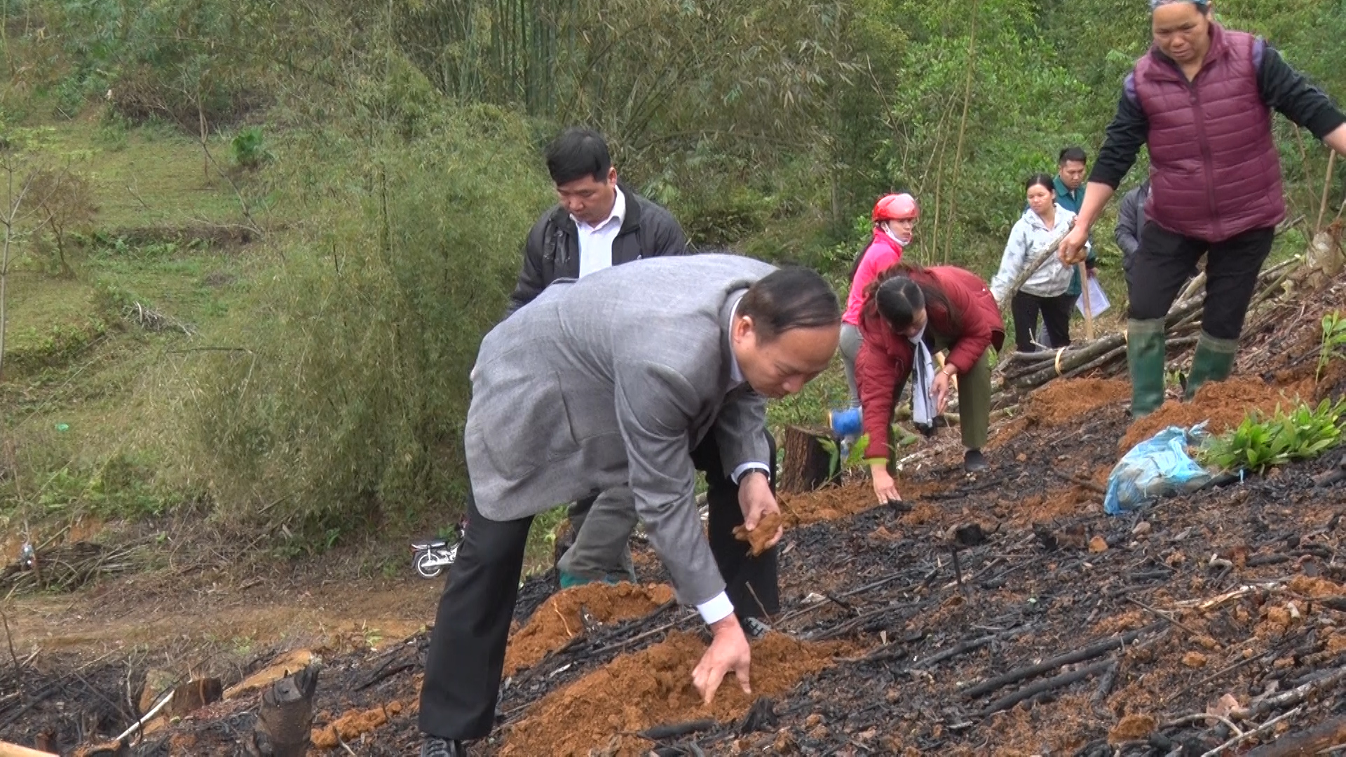 Xã Phú Linh phát động tết trồng cây xuân Mậu Tuất năm 2018