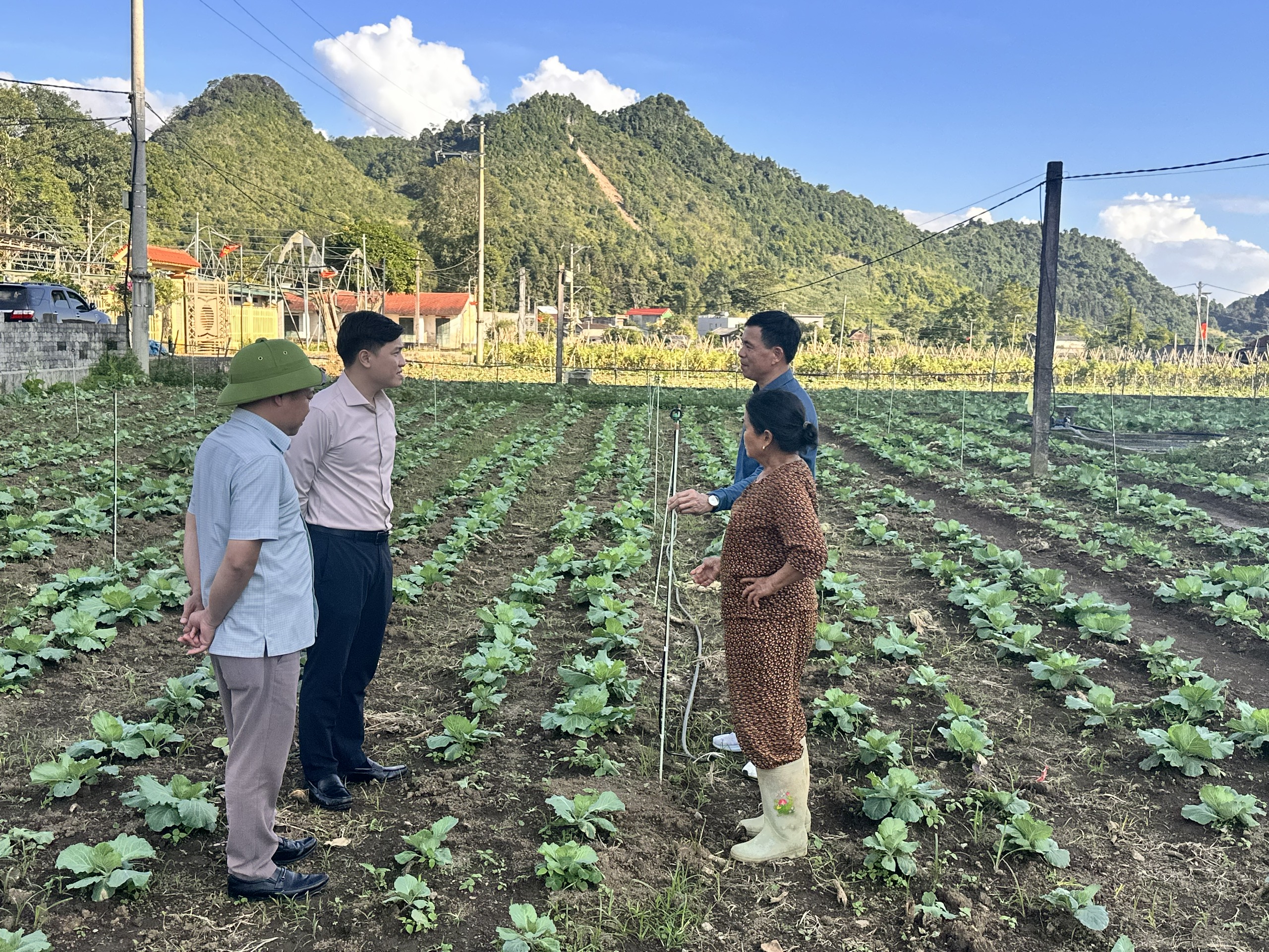 Đoàn công tác Đảng uỷ xã Mèo Vạc tham quan, học tập mô hình trồng rau trái vụ  và cây rau vụ Đông tại xã Quản Bạ