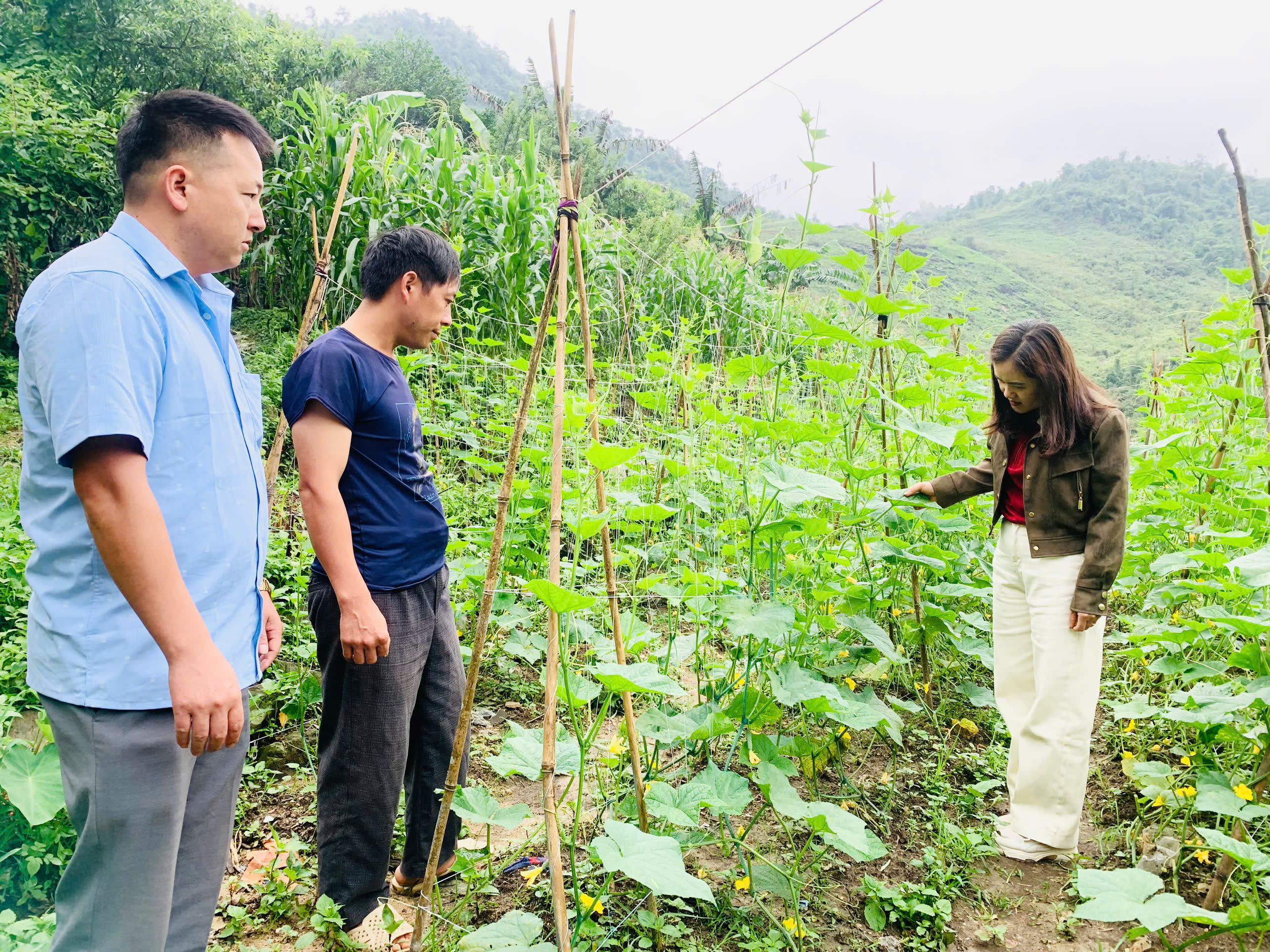 Xóa trắng tà đạo - Hành trình nỗ lực và thấm đẫm niềm tin ở vùng biên Quản Bạ - Kỳ 3: Bình yên trở lại trên bản Mông