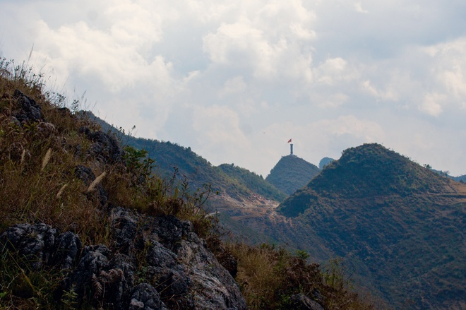 C&acirc;y sa mộc giữa cao nguy&ecirc;n đ&aacute; Đồng Văn