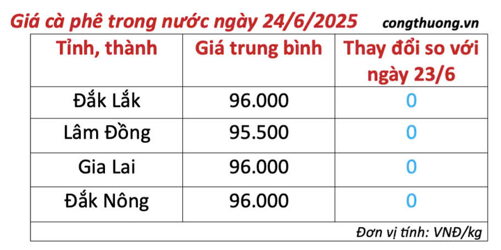 Bảng giá cà phê trong nước cập nhật sáng ngày 24/6/2025